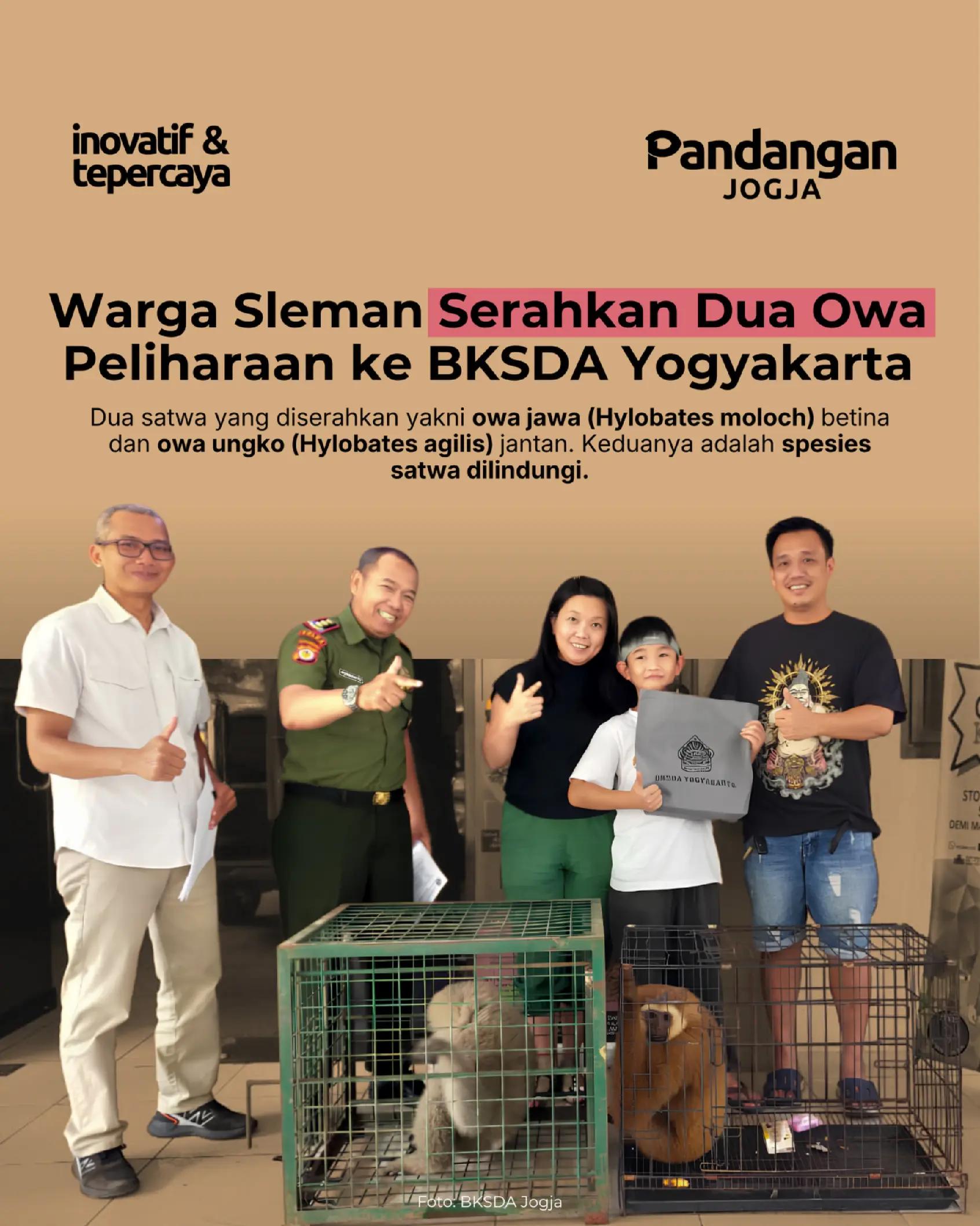 @Pandangan Jogja