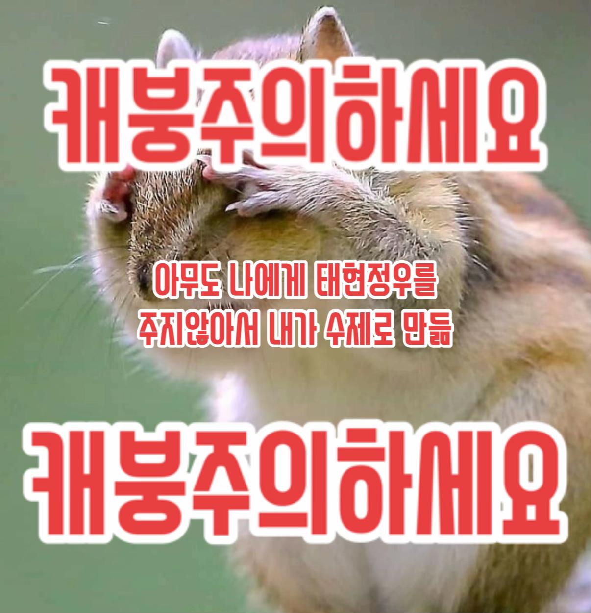 @세미콜론(;)