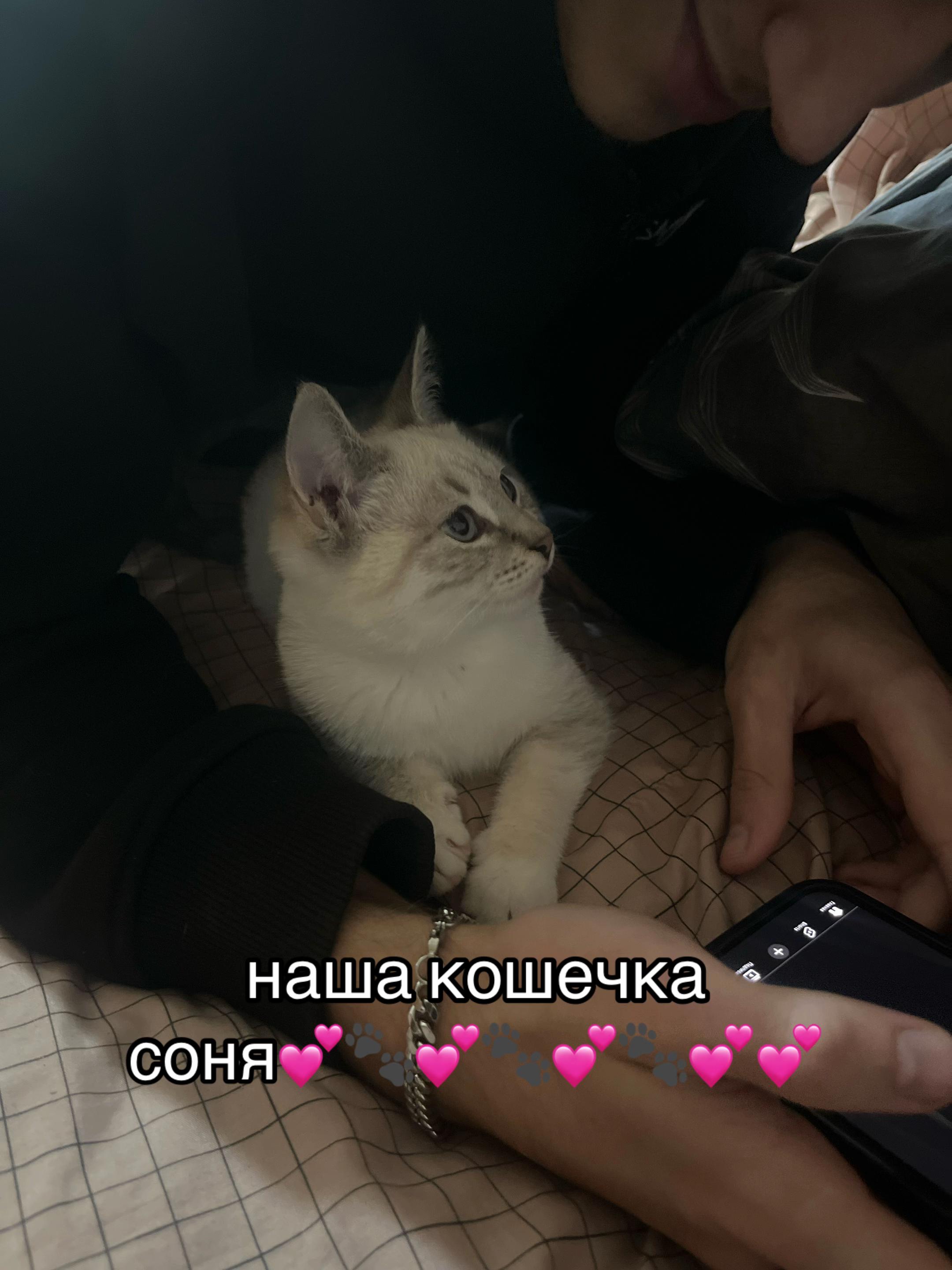@тася
