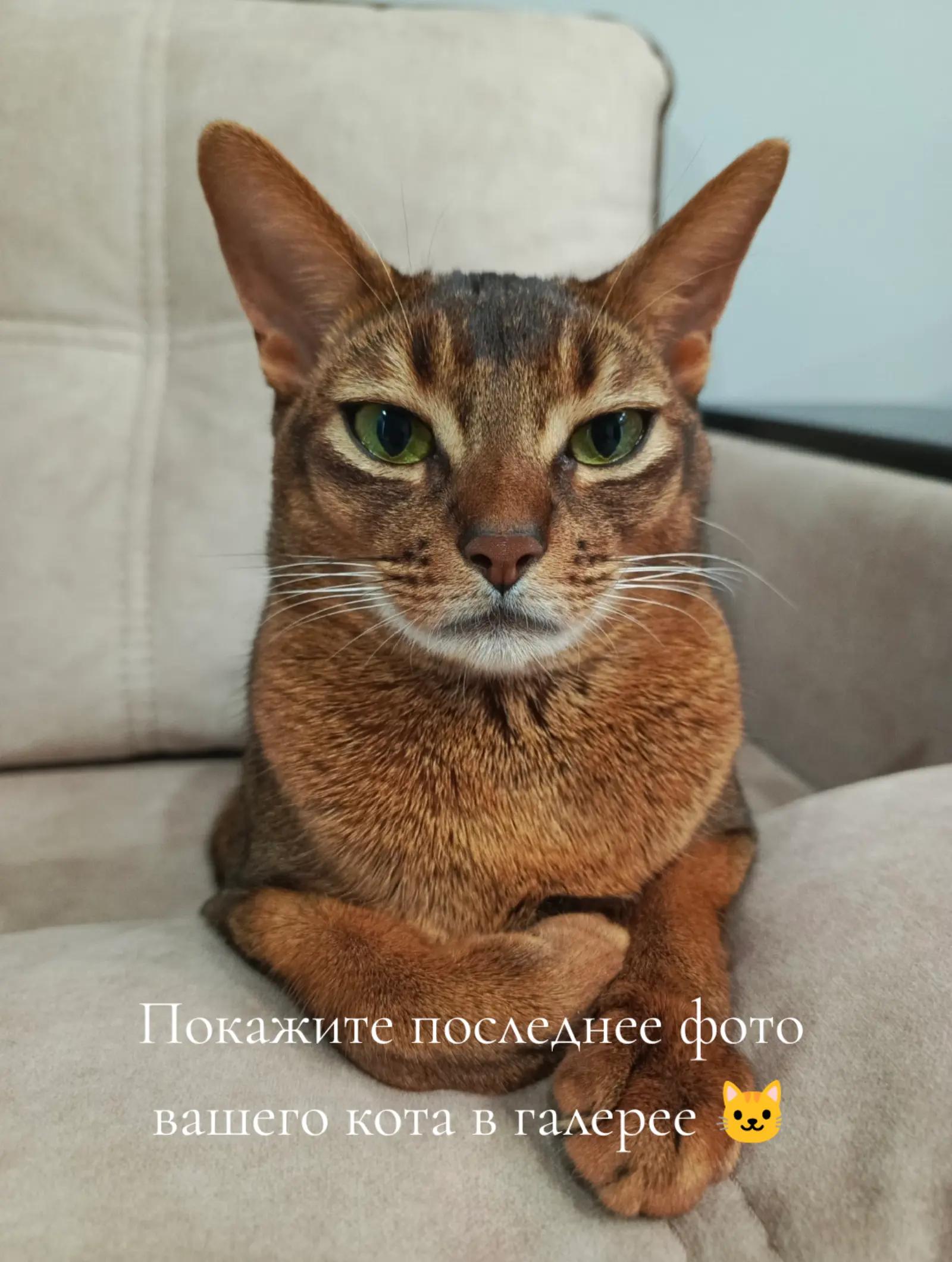 @Екатерина