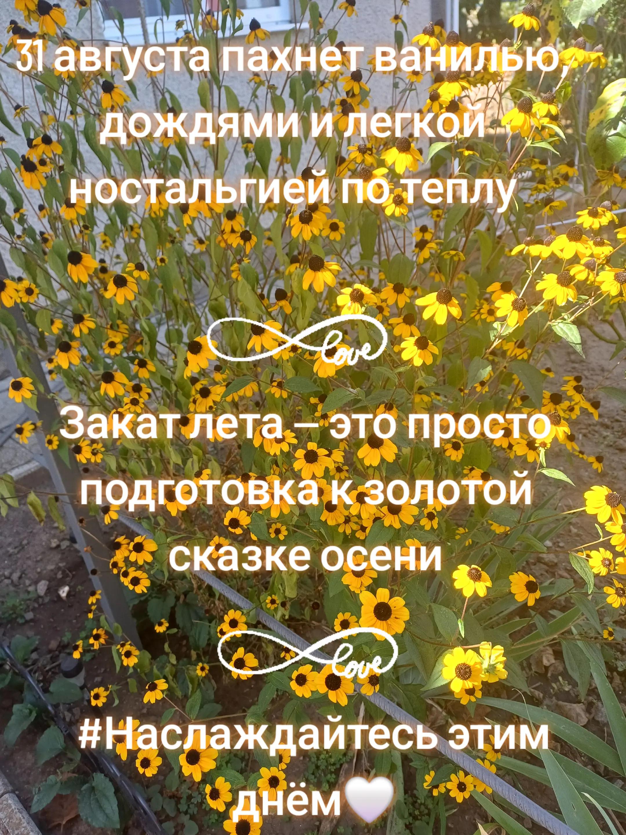 @Маришуля