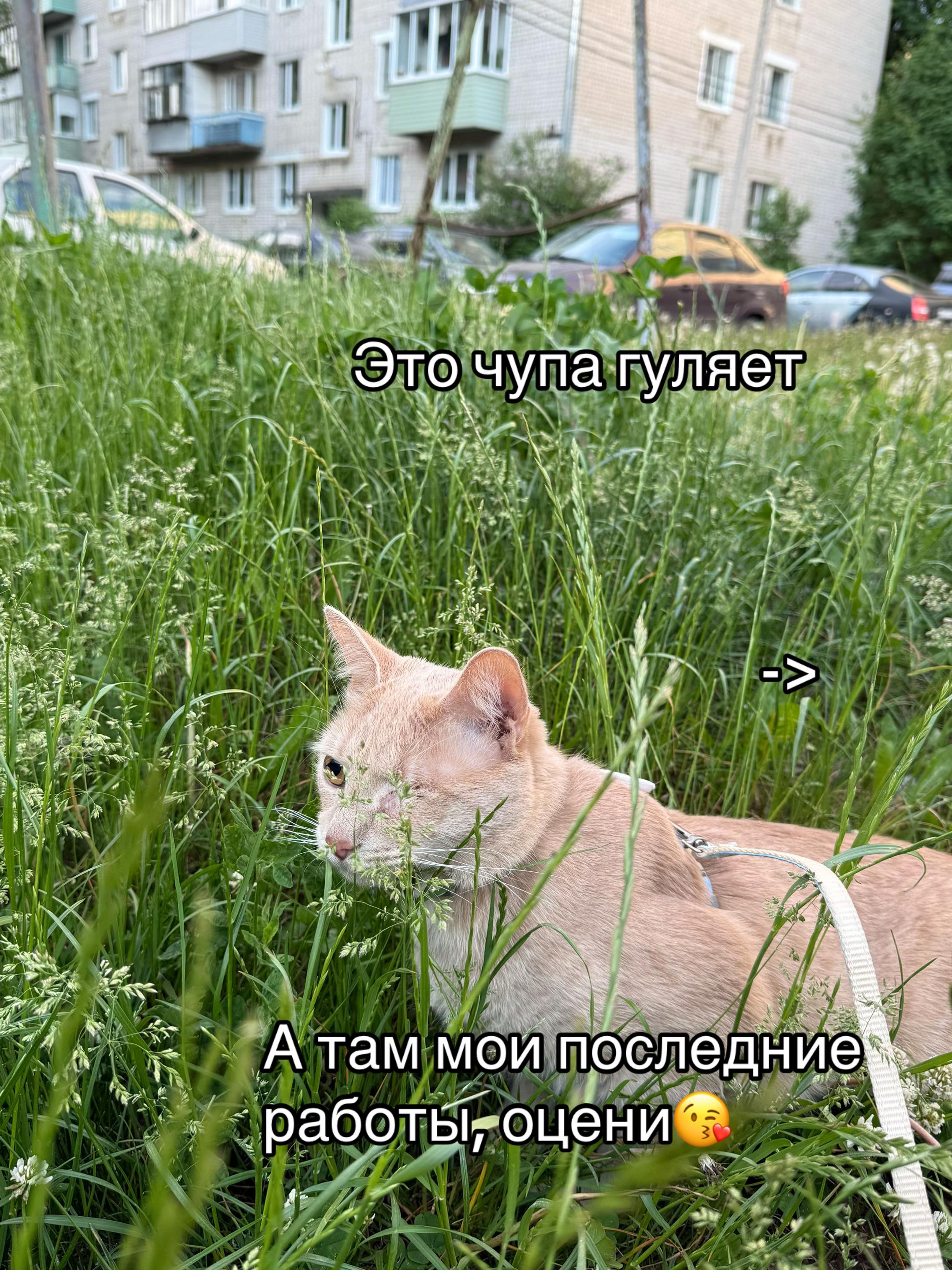@📍КОВРОВ|ВИКТОРИЯ МАНИКЮР