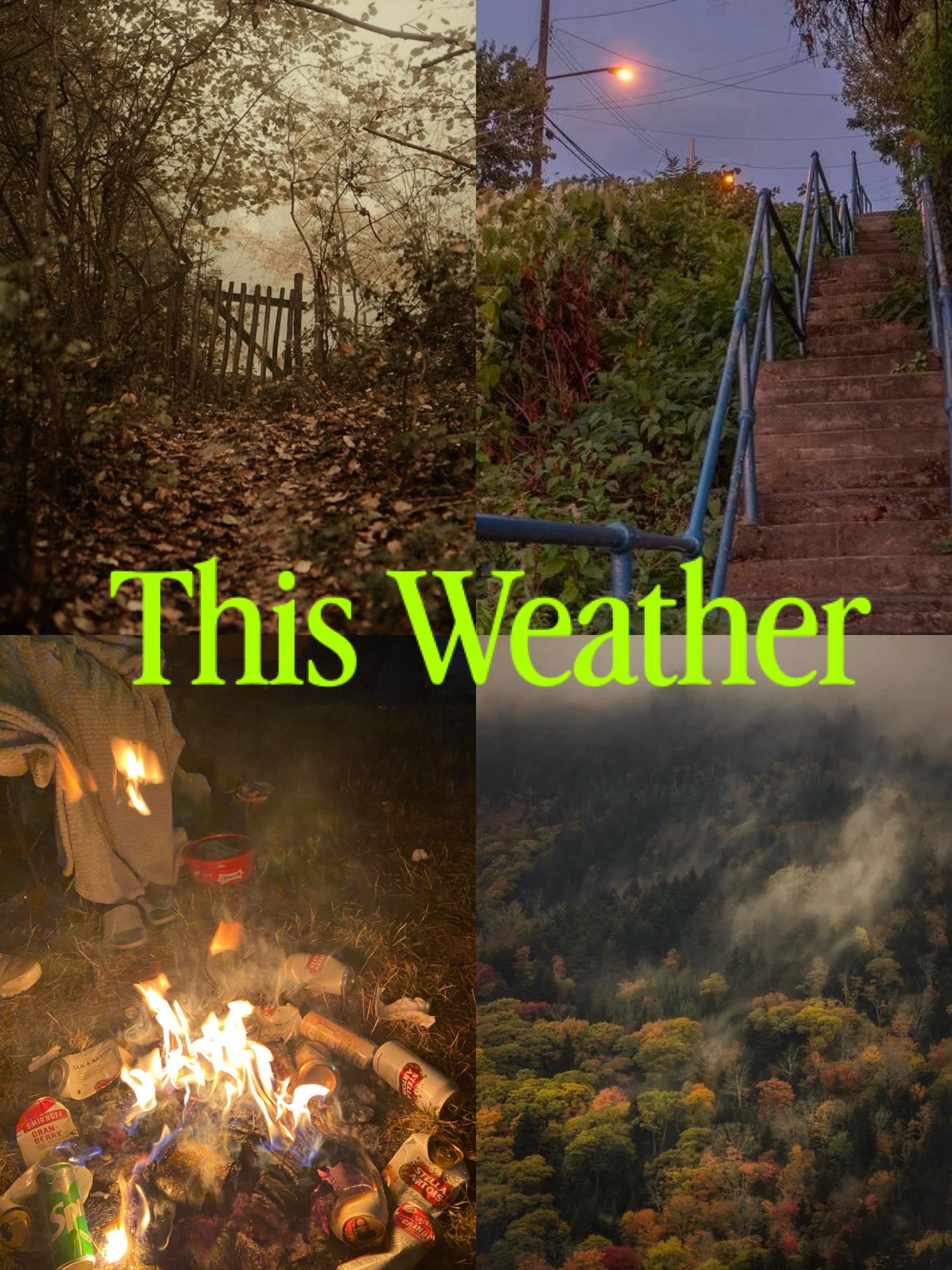 @Author Paige A. Cook
