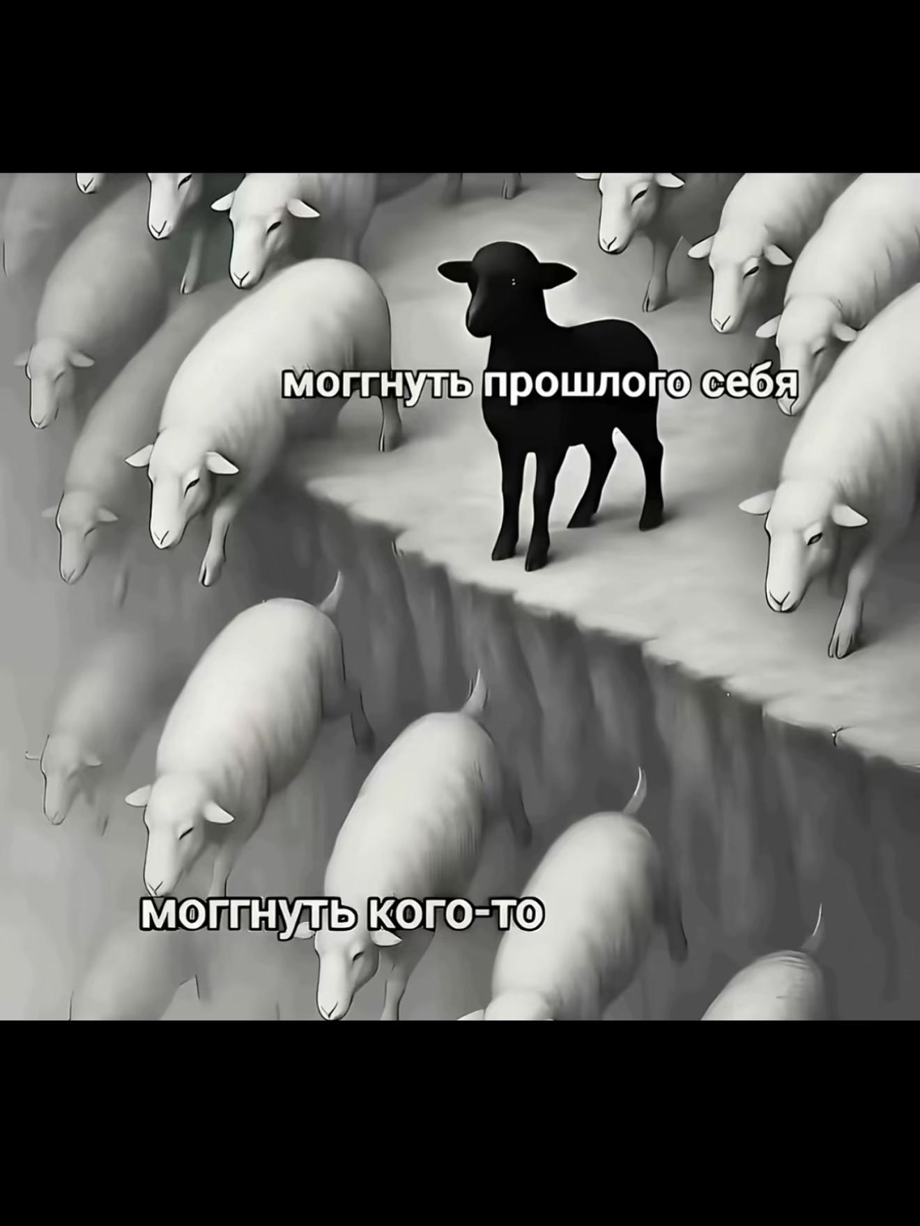 @ksenia