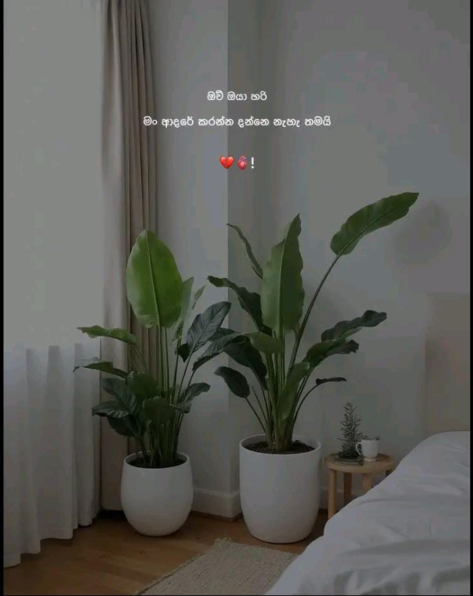 @V 🎀