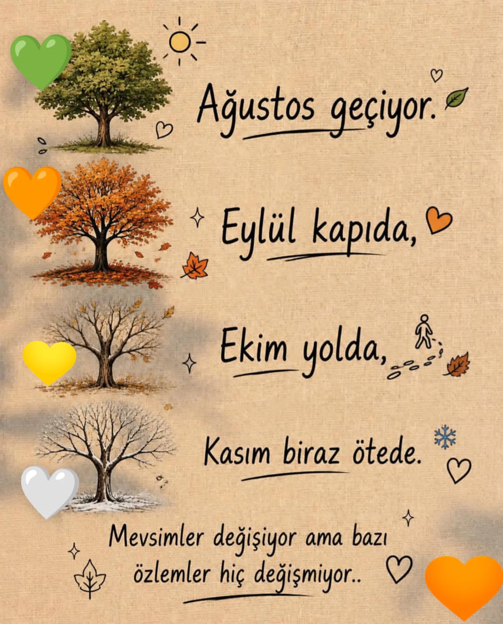 @🌺 &Ccedil;UKUROVALI 🌺