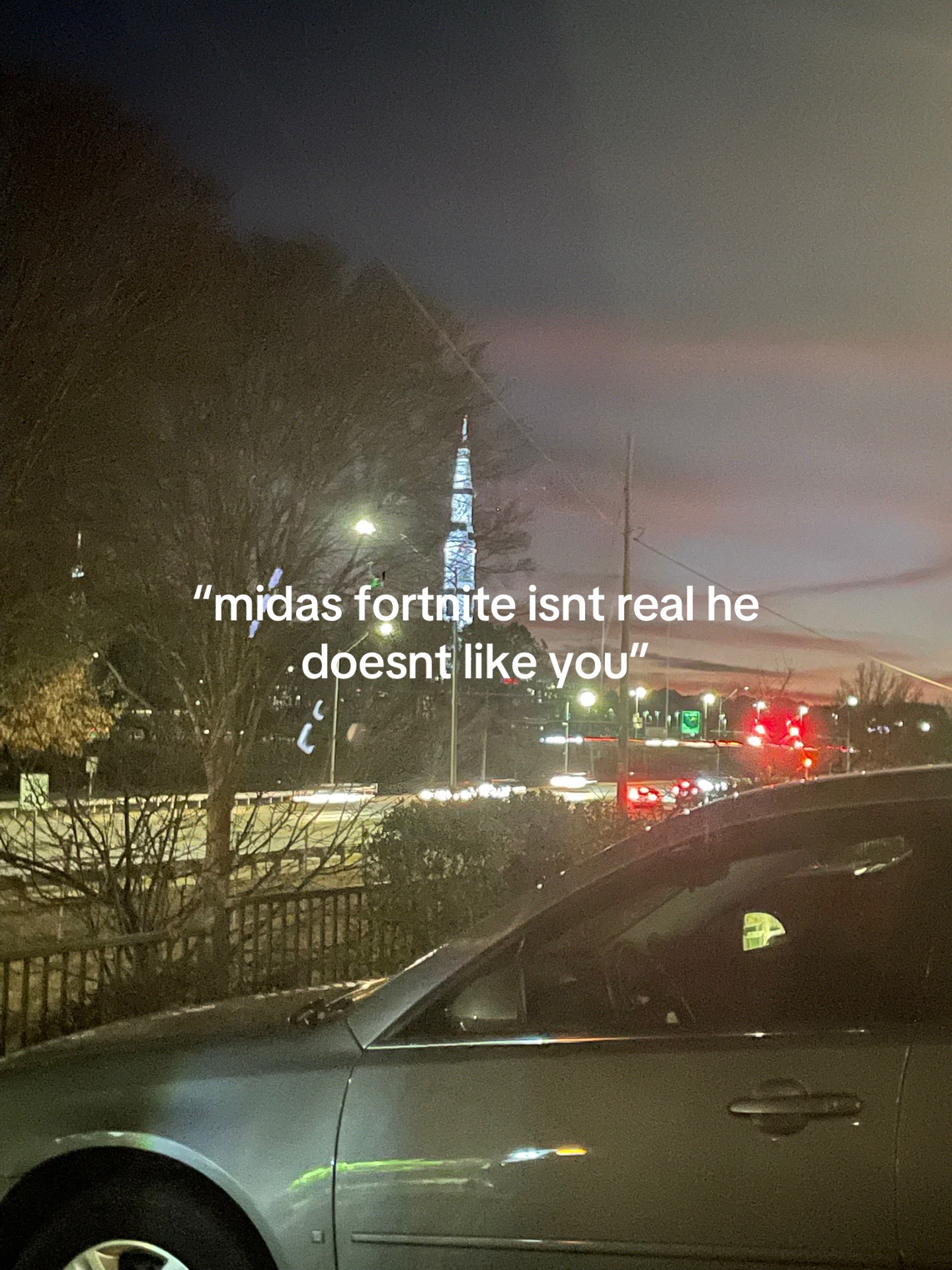 @Maxprocyonꨄ︎