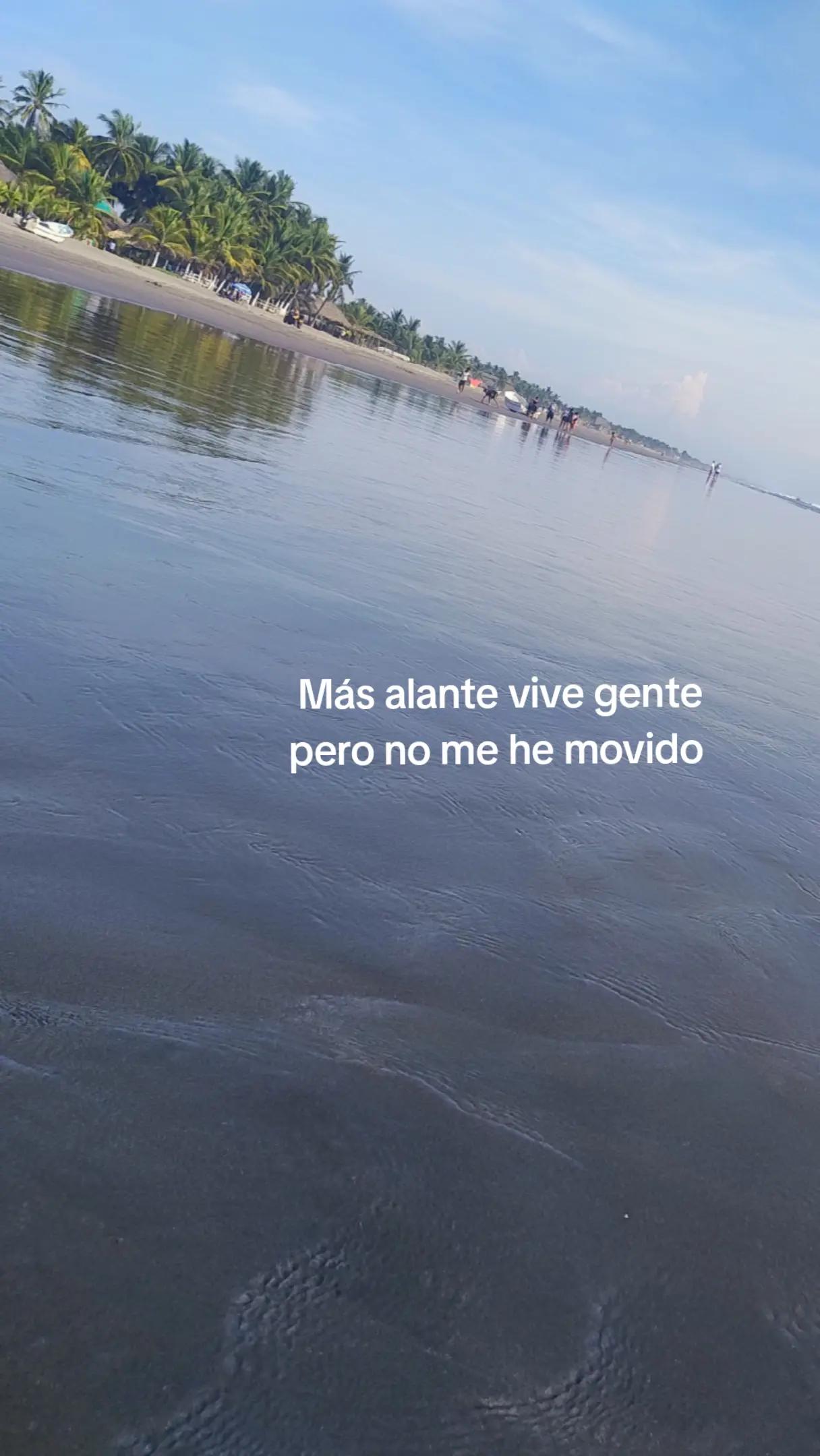 @⊹ RBD ⊹