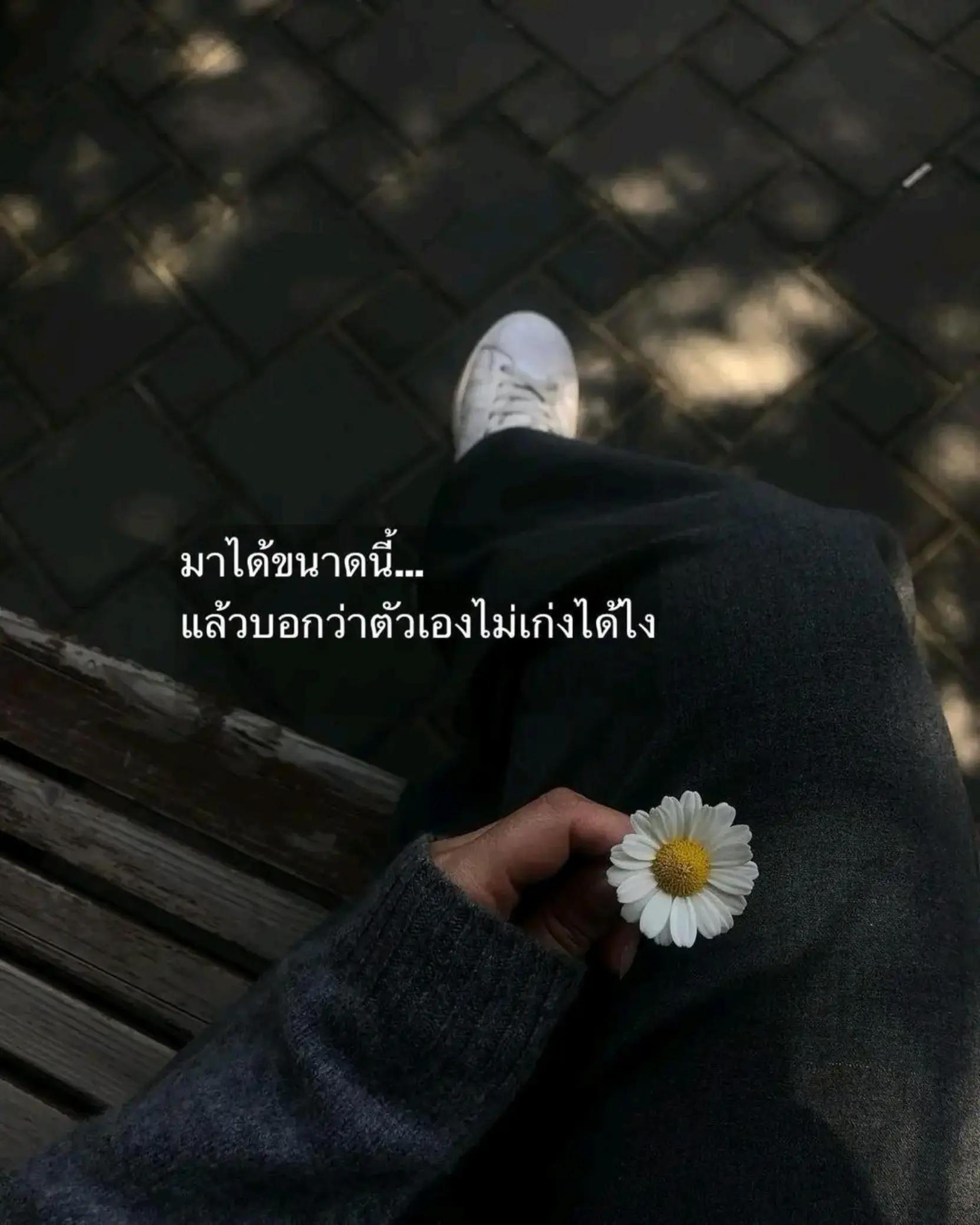 @"เ ลิ ก เ ศ ร้ า ไ ด้ แ ล้ ว"