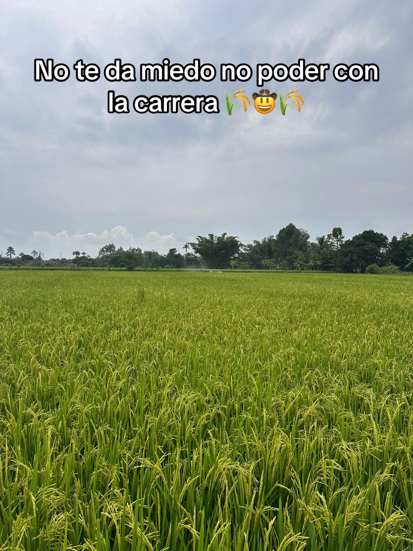 @Alejandro
