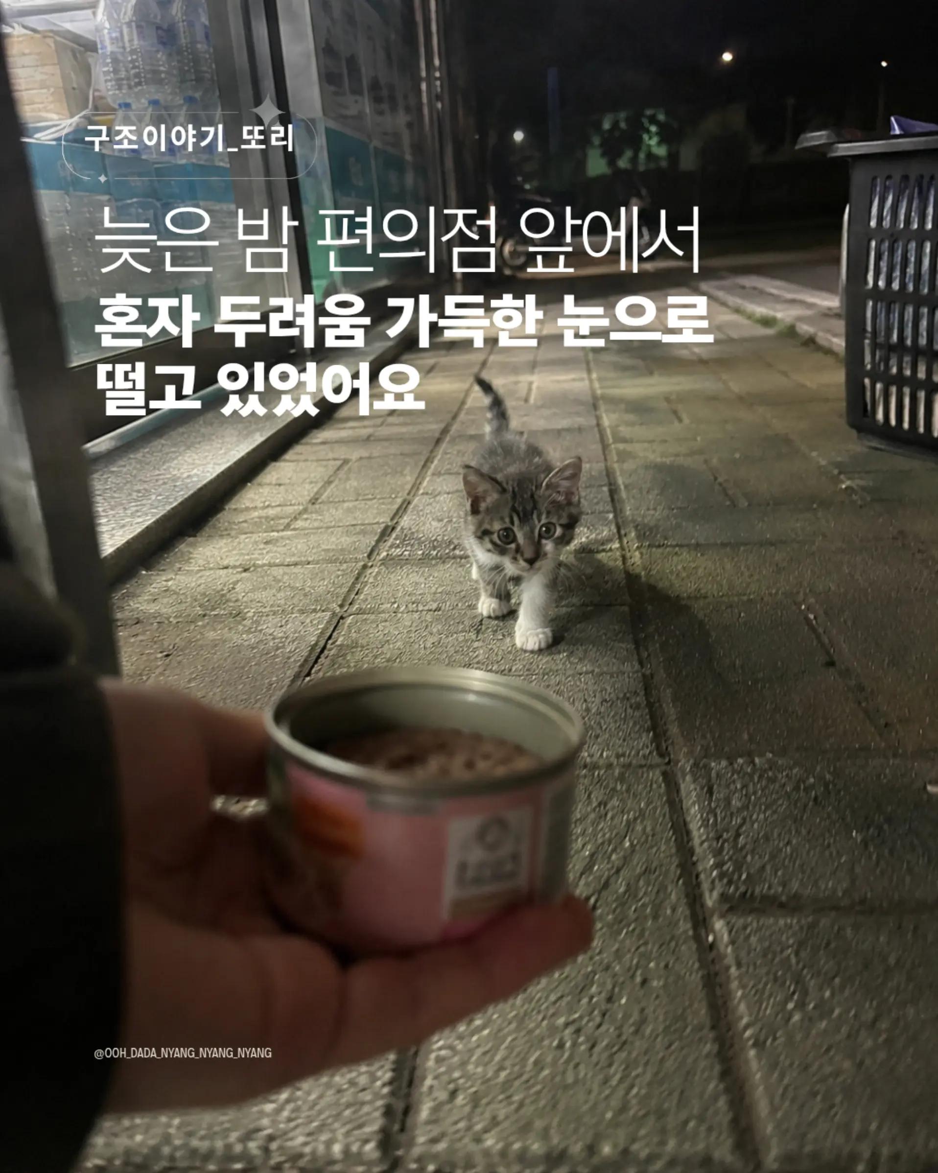 @우다다냥냥냥