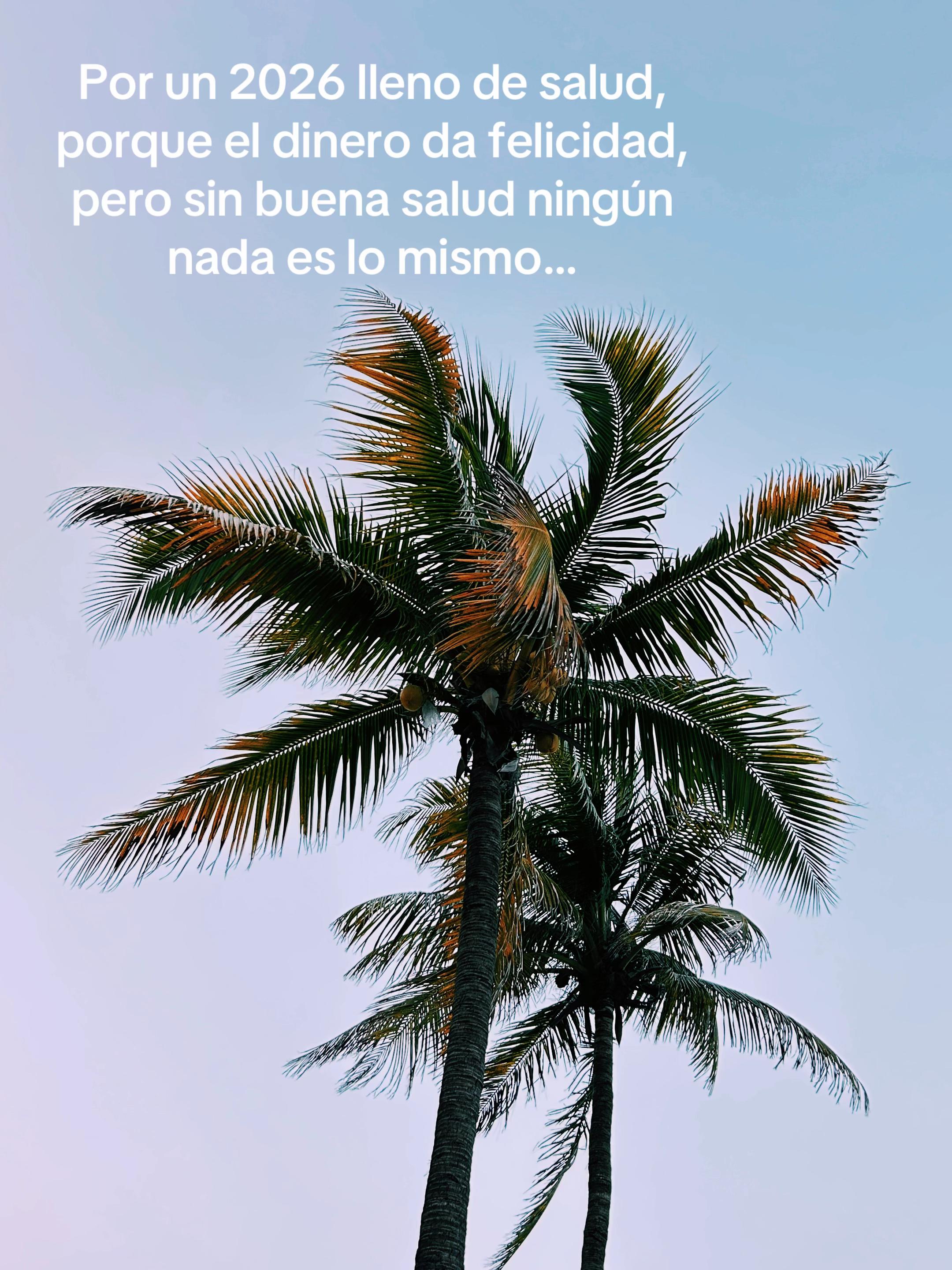 @iamnoelsolano