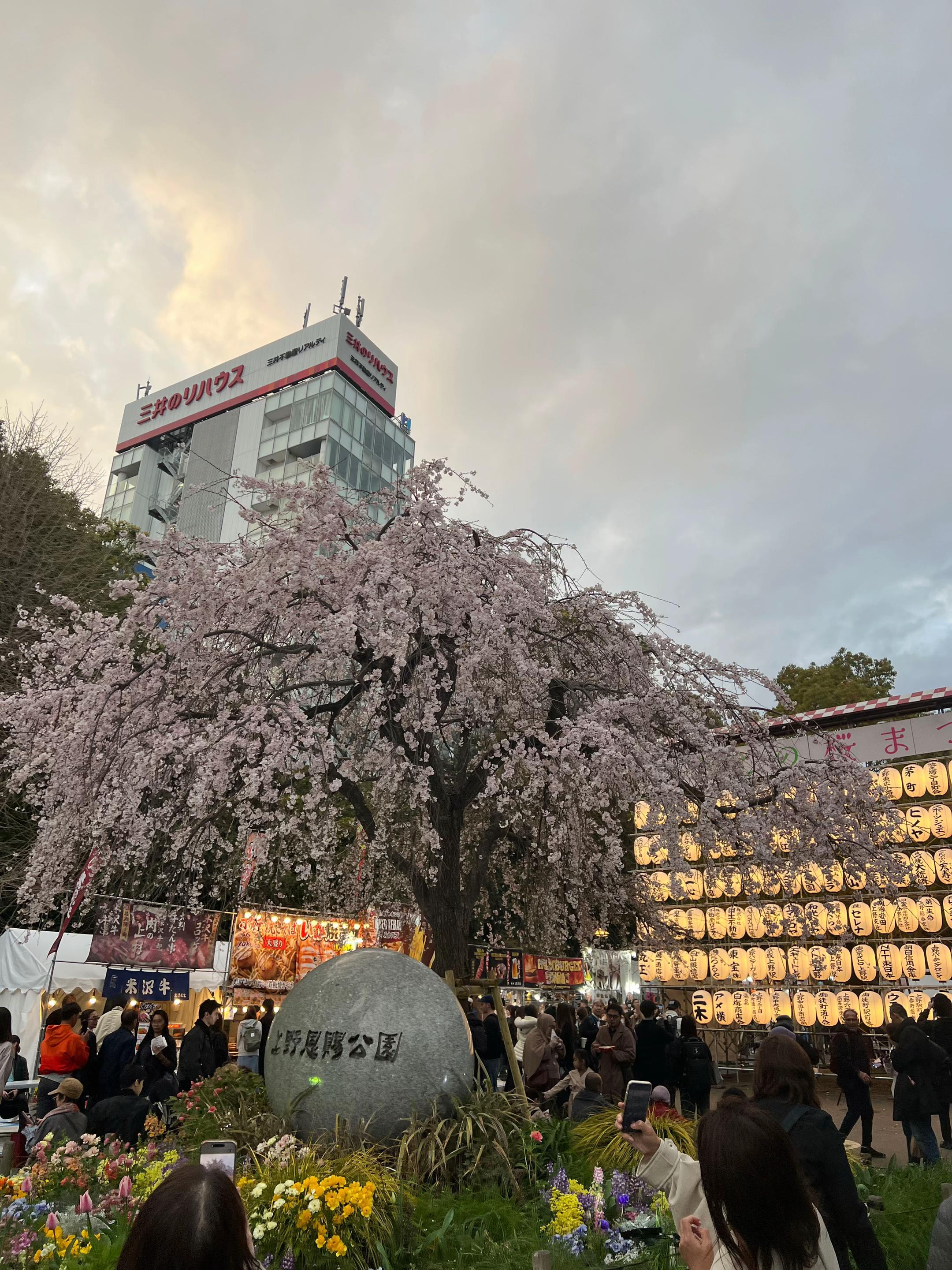 @マッチョなアメリカ人旦那と私🇺🇸🇯🇵