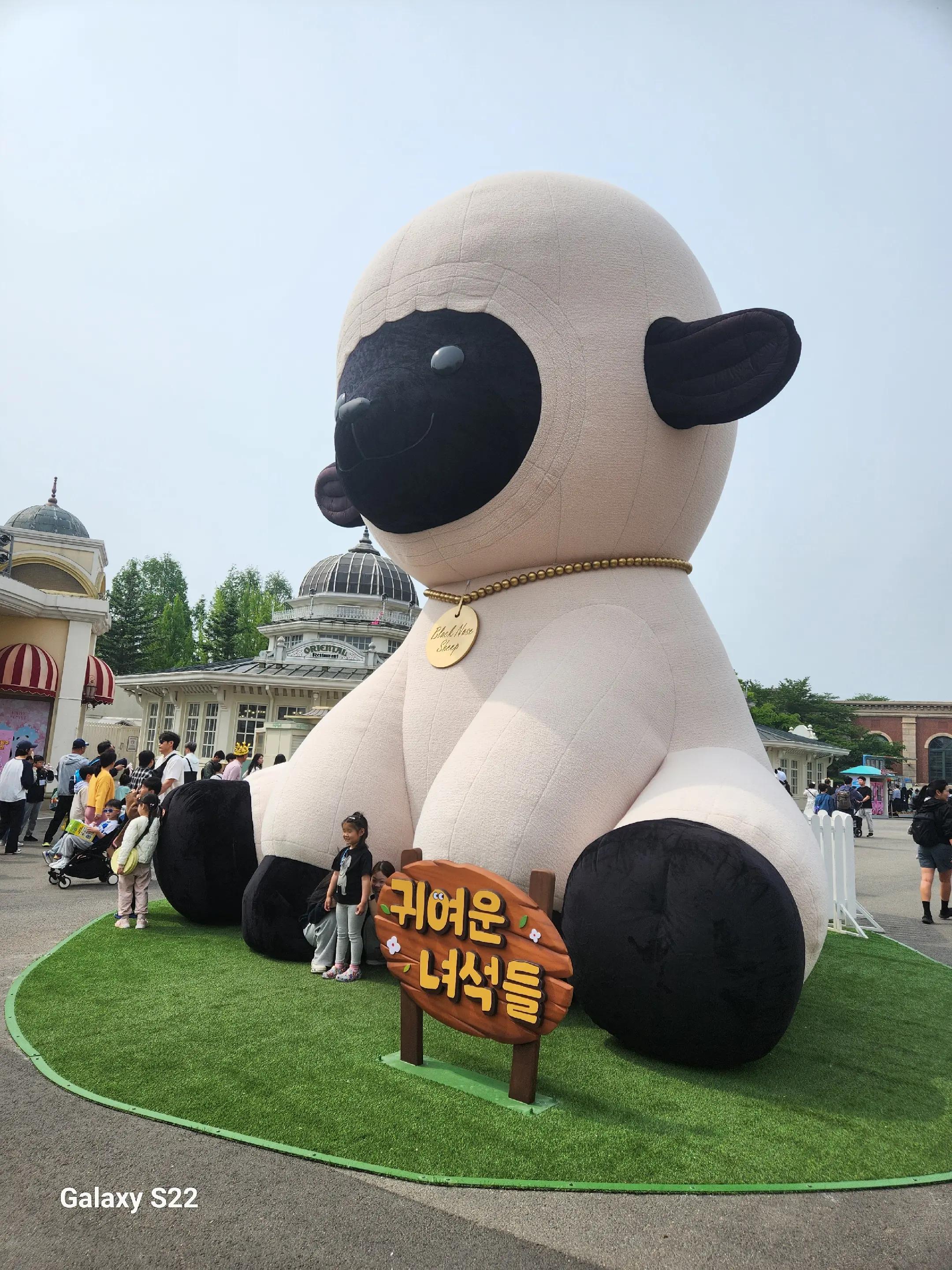 @체리 김