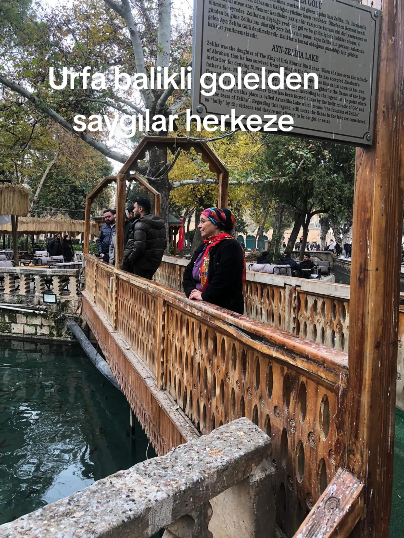 @yaprak dökümü