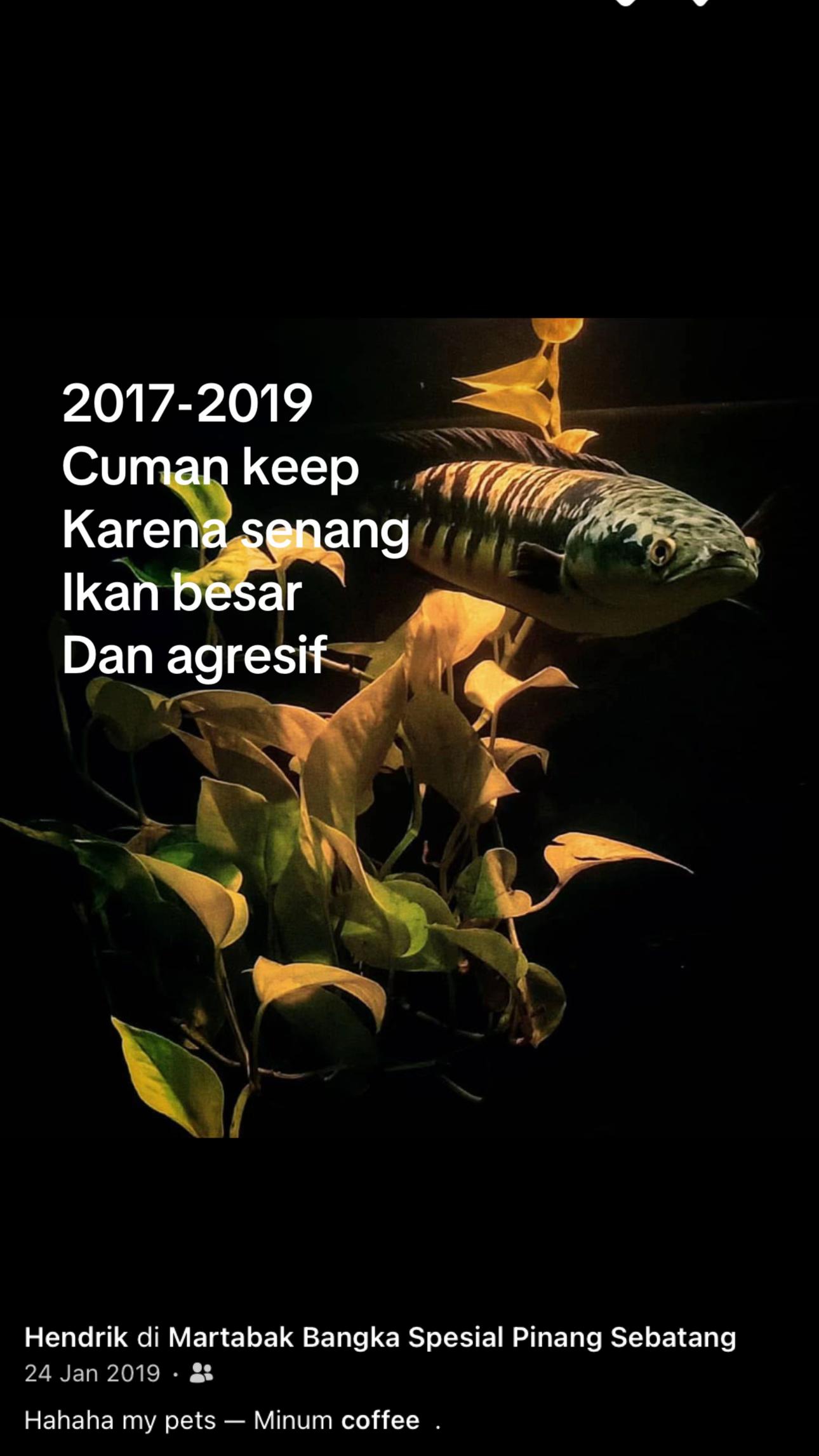 @nyo'ocai