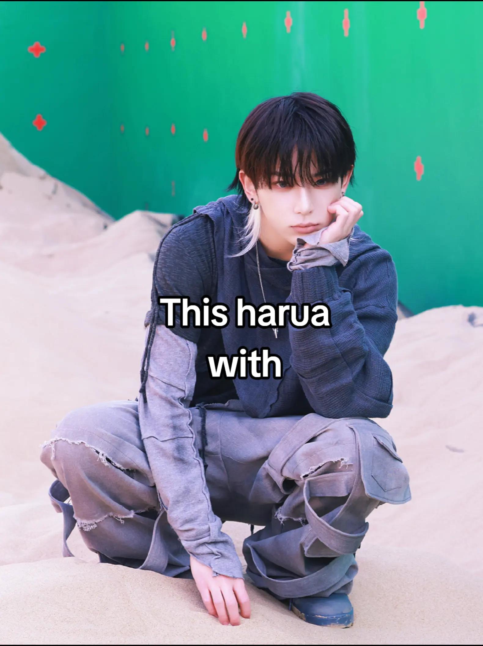 @haruaruh (&TV)