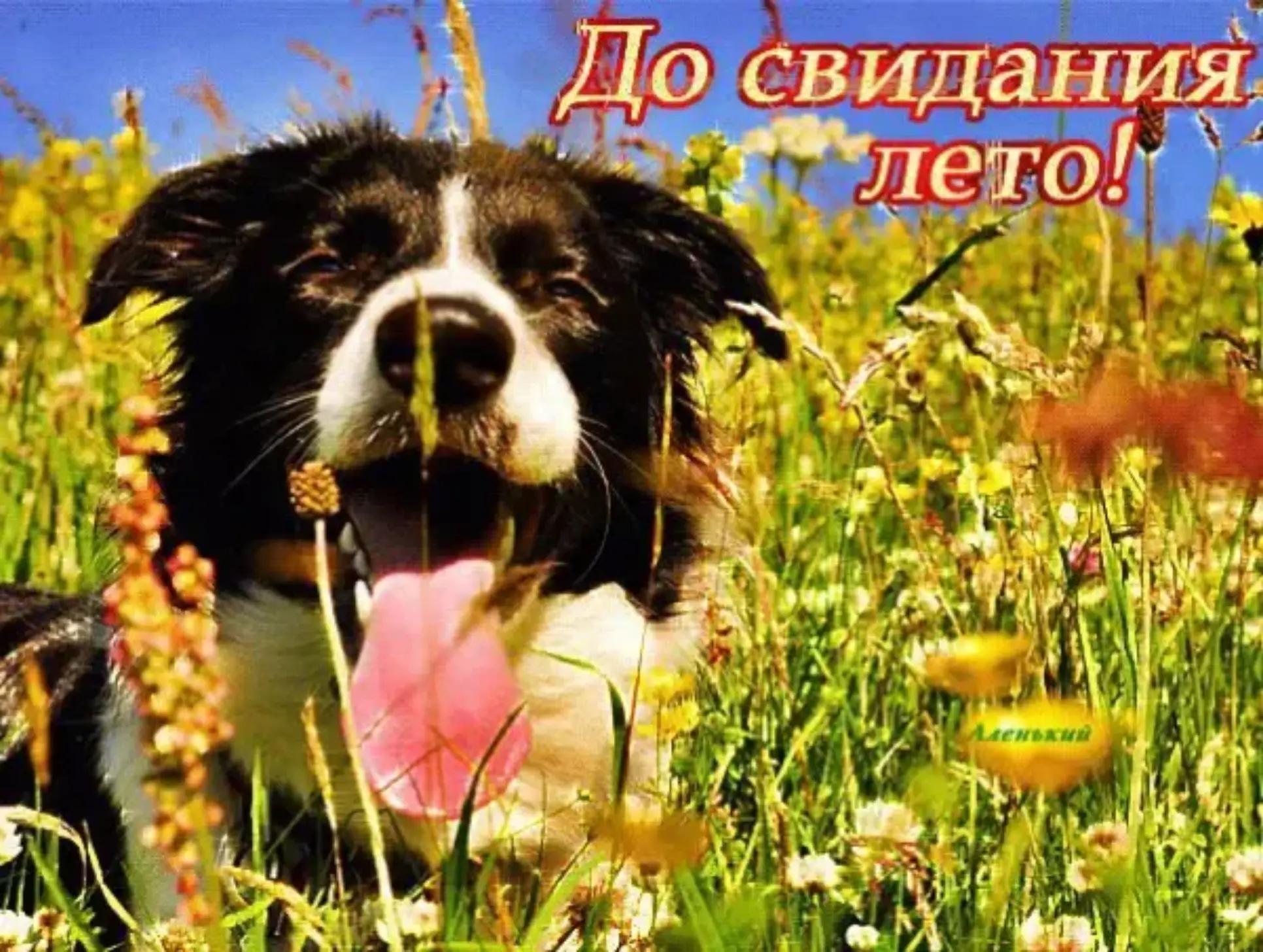 @вгерис