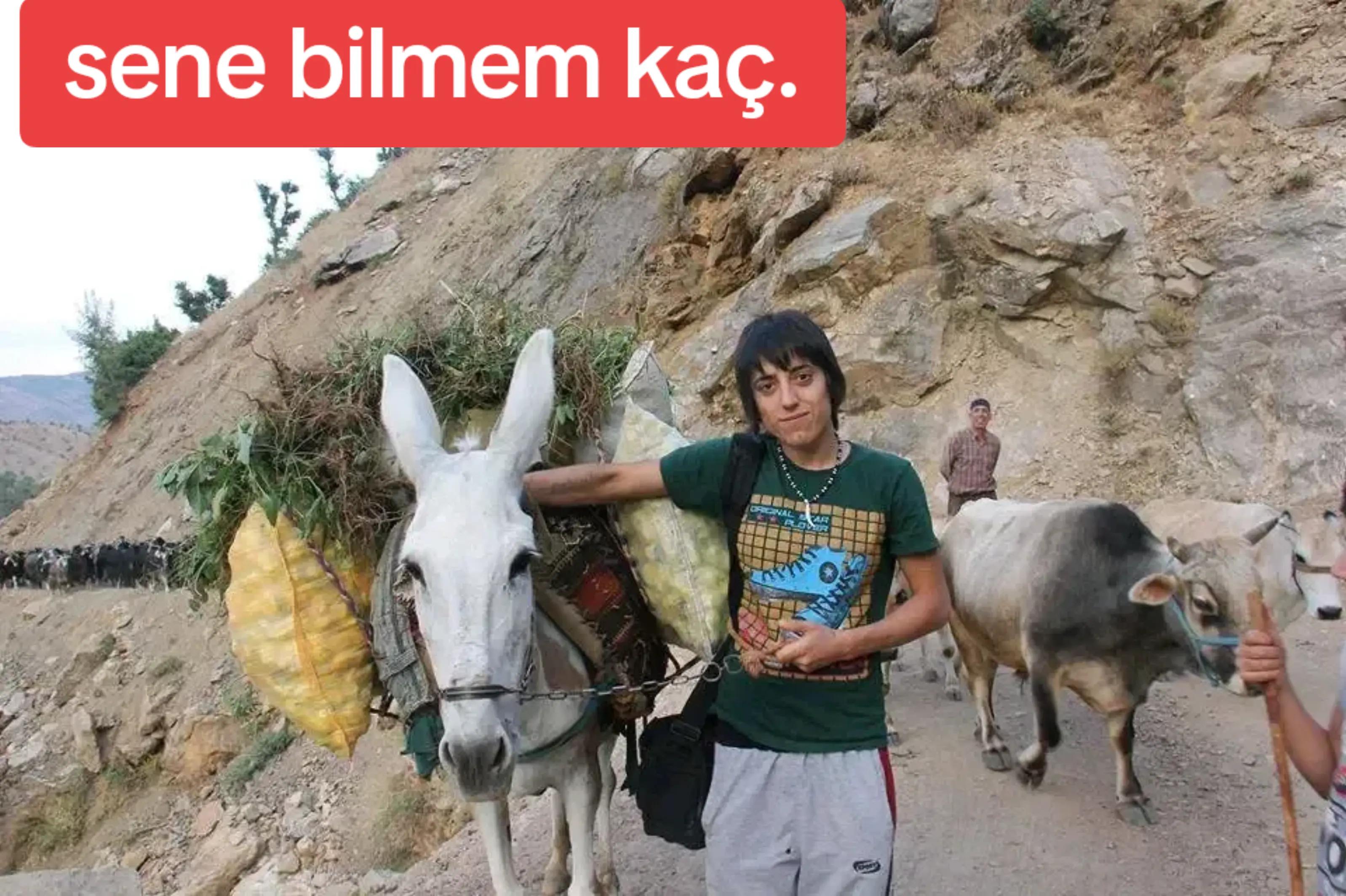 @hateycan