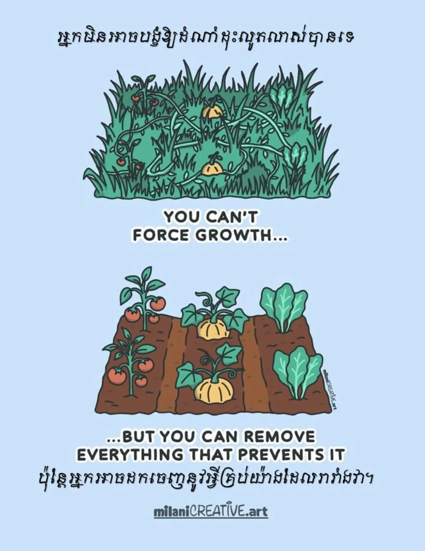 @Pocket Wisdom