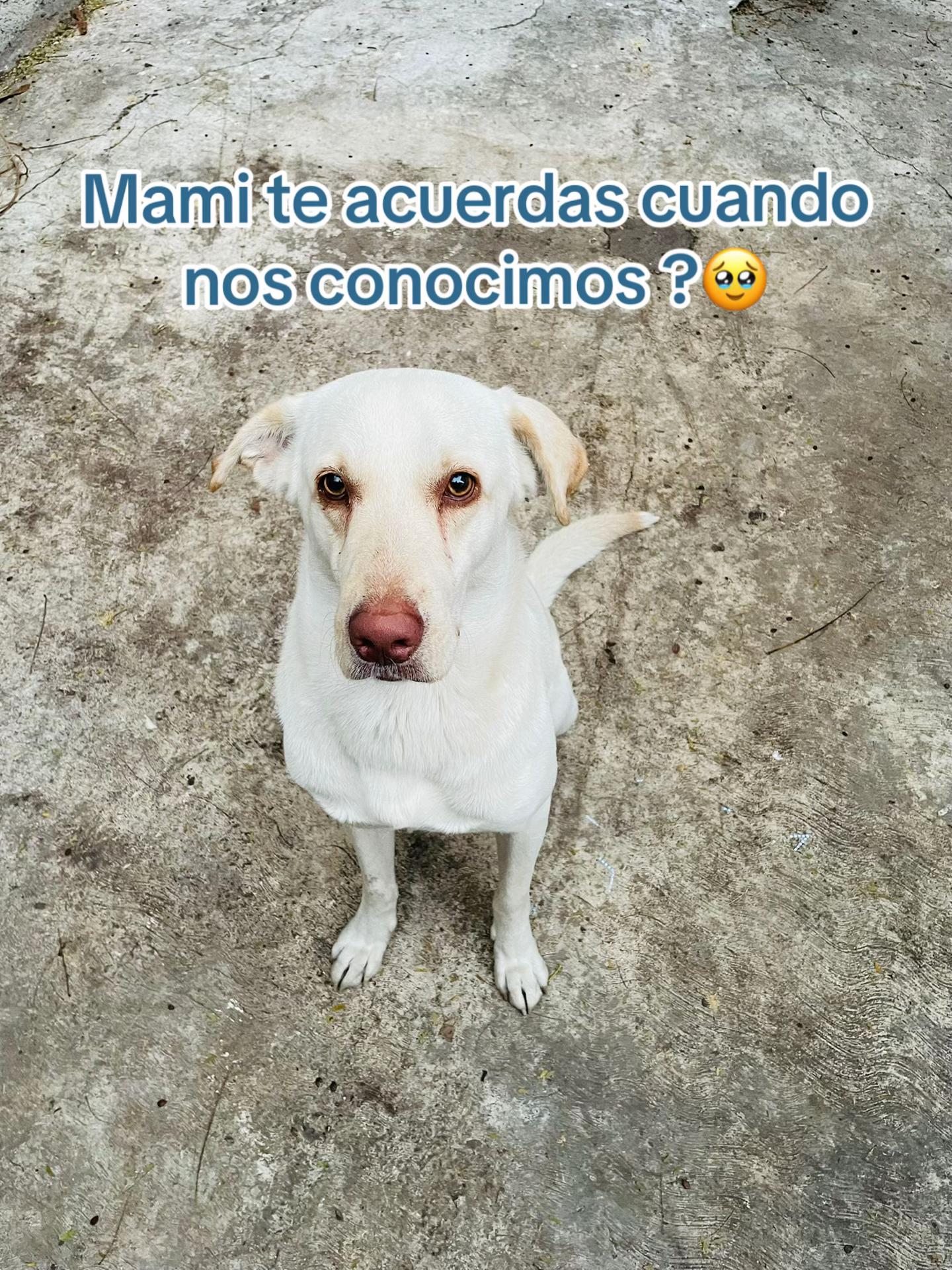@𝐘𝐚𝐦𝐢🦥❤️