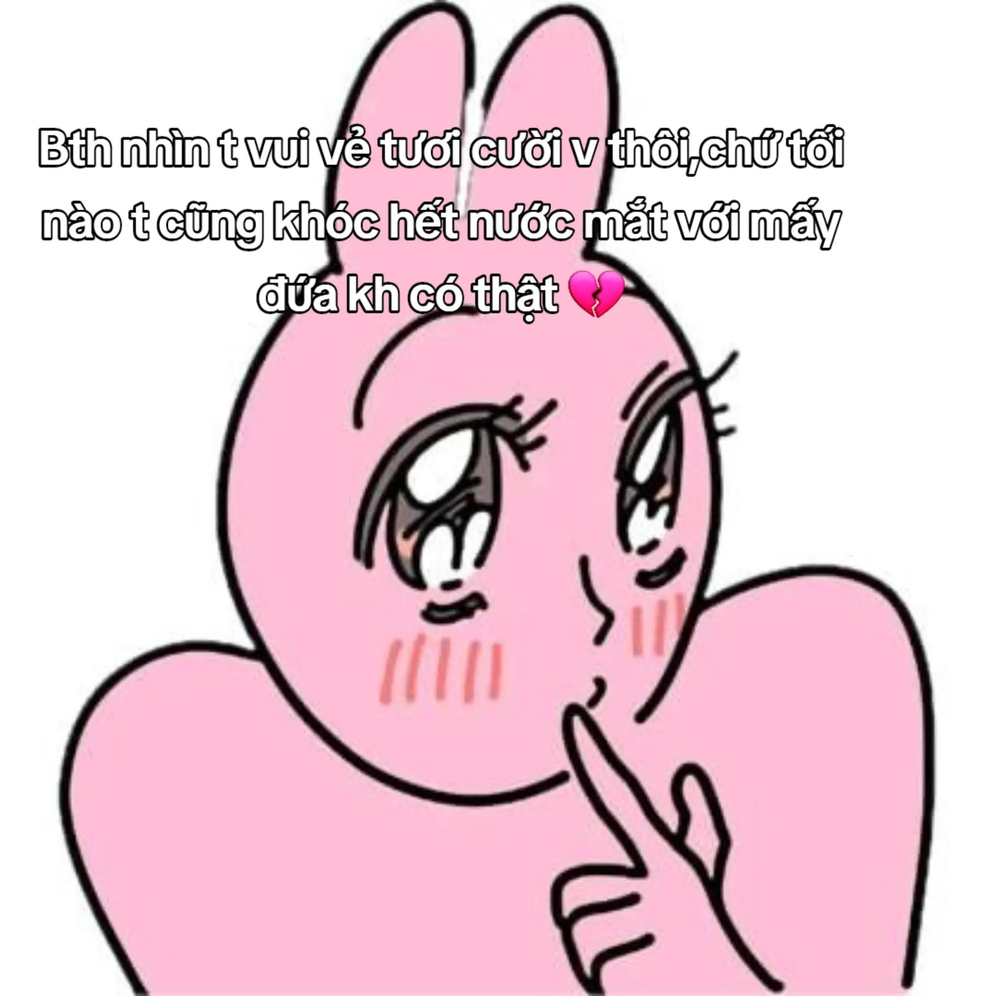 @˚🖇️✩𝑲𝒊𝒕𝒕𝒚₊˚🍥⊹