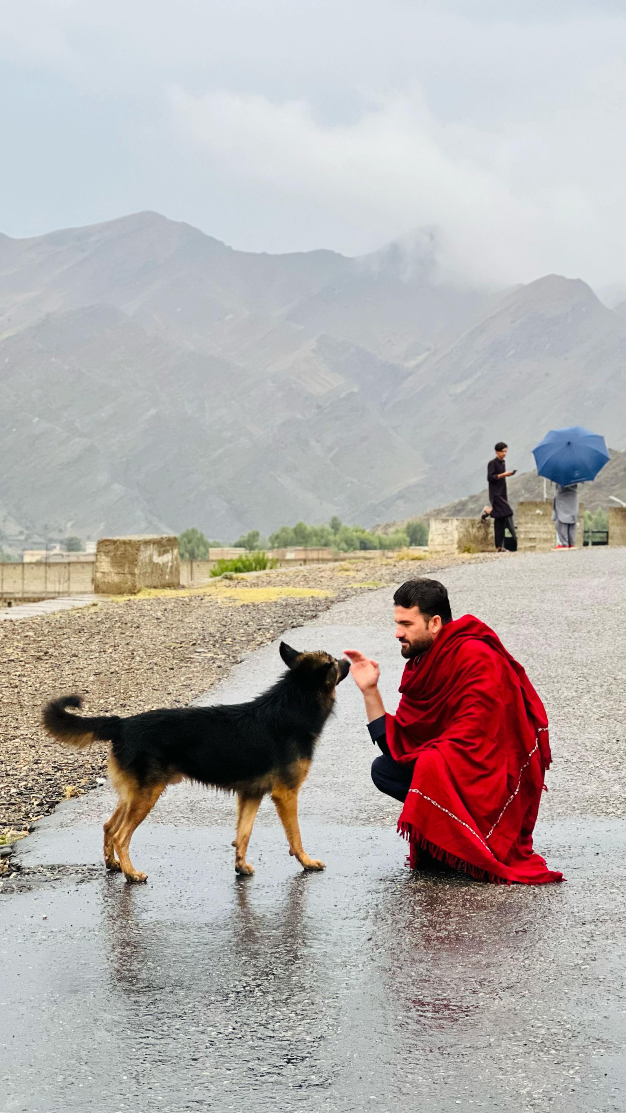 @️Zubair Mohmand