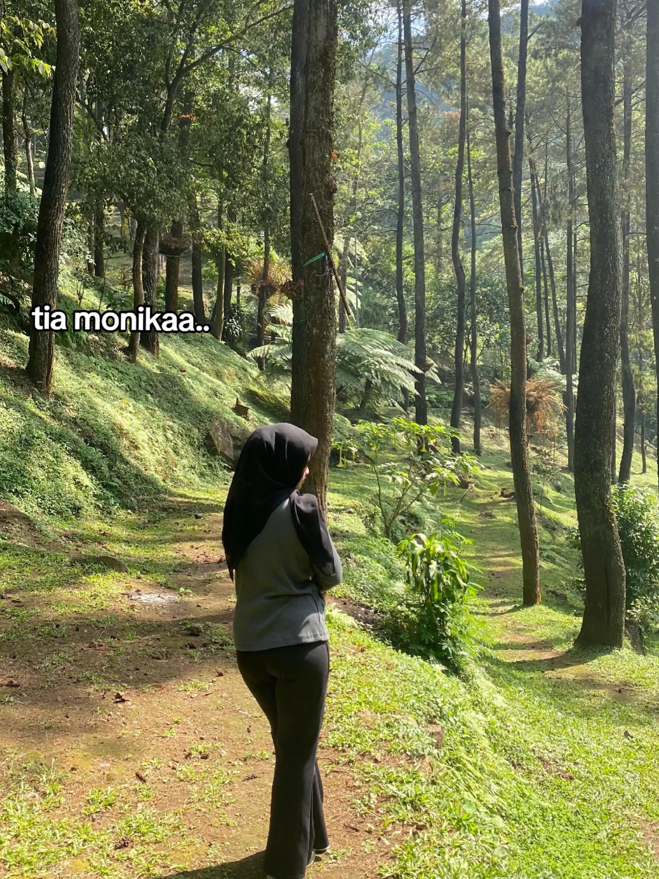 @tsaniacantik