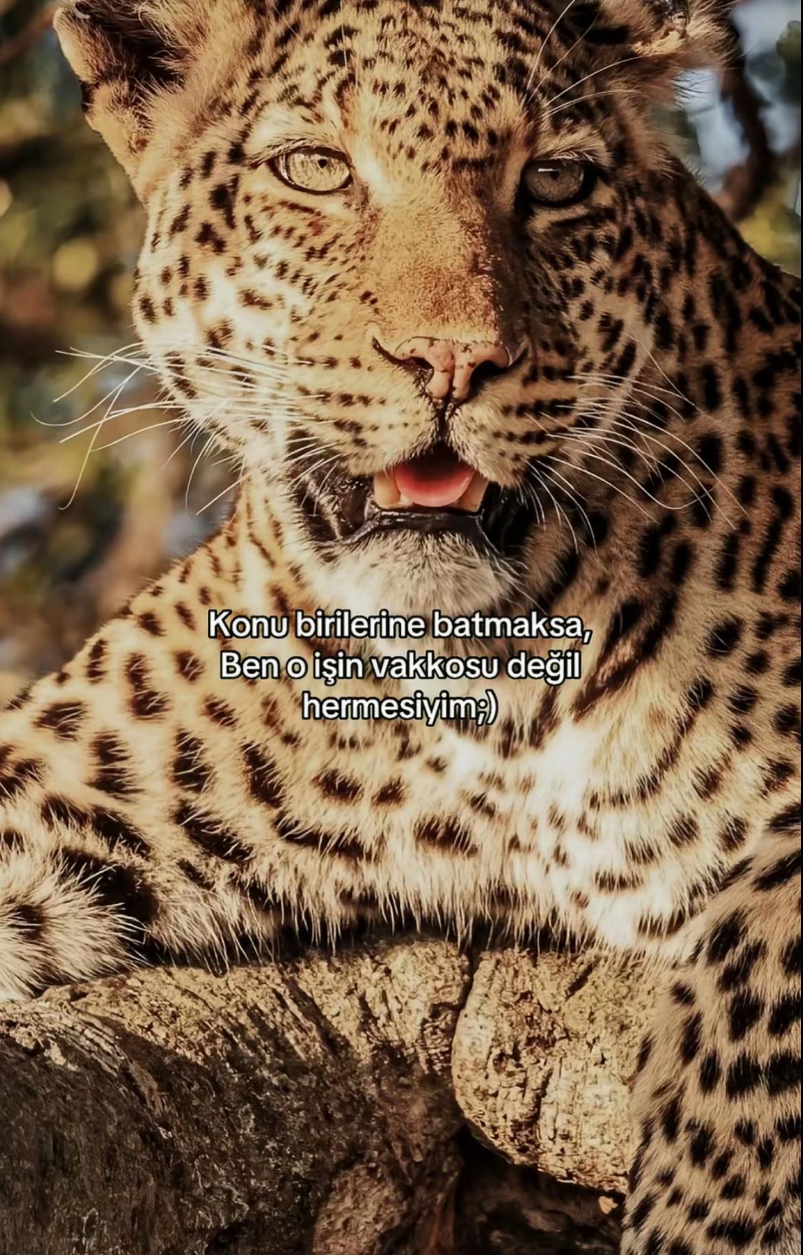 @ð³ðððððð_ððððððð.