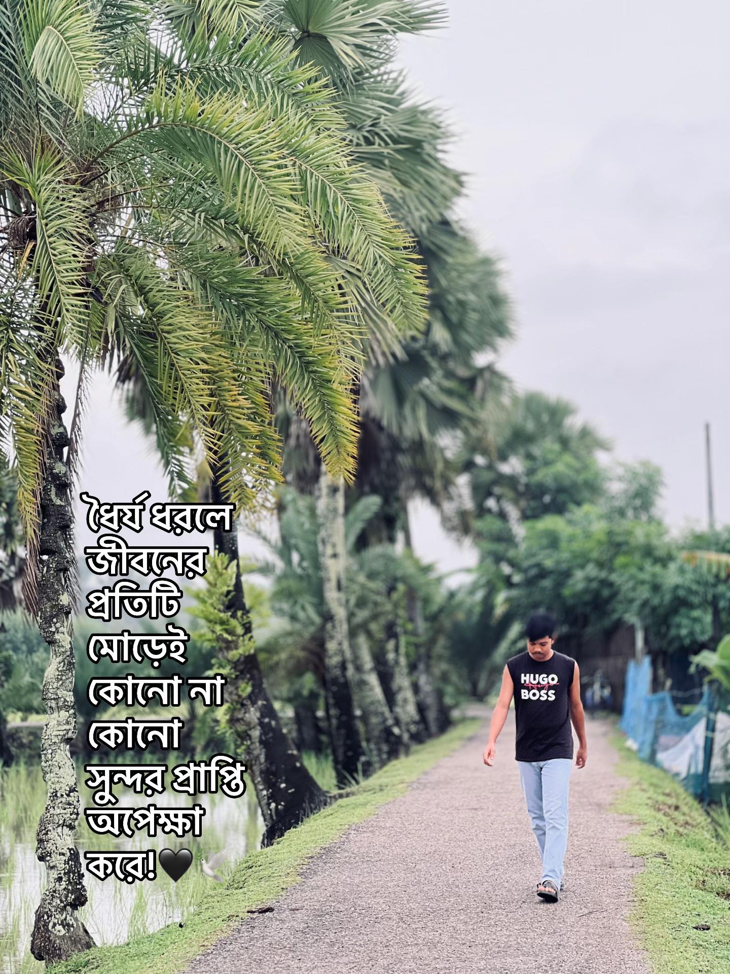 @বাক্য রচনা/ 📆