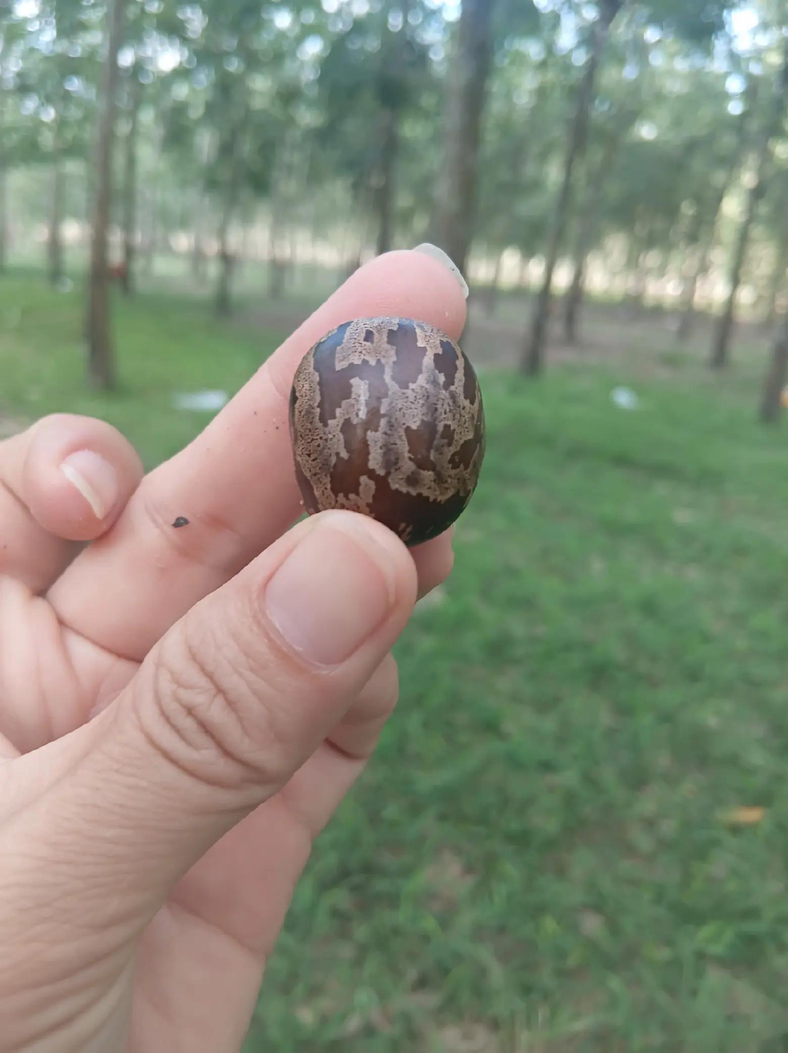 @Tạp h&oacute;a Khang Khang