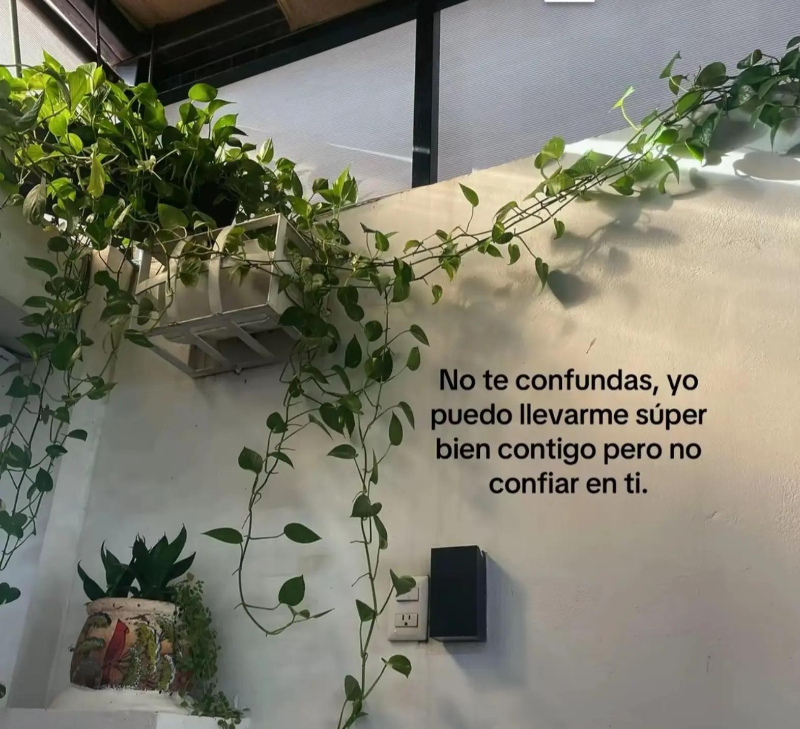 @🩶§ >Jaime<§🩶