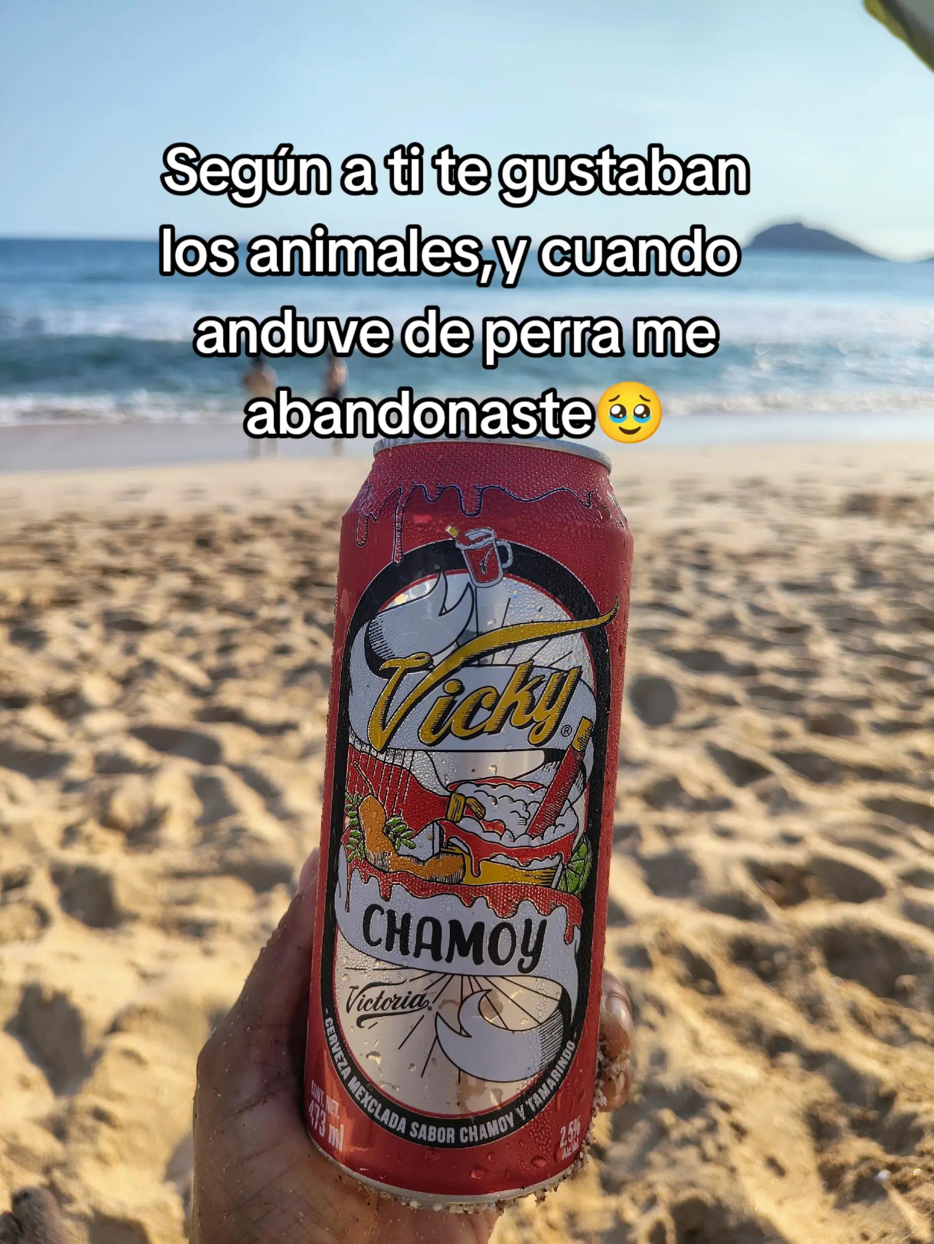 @Tere❤