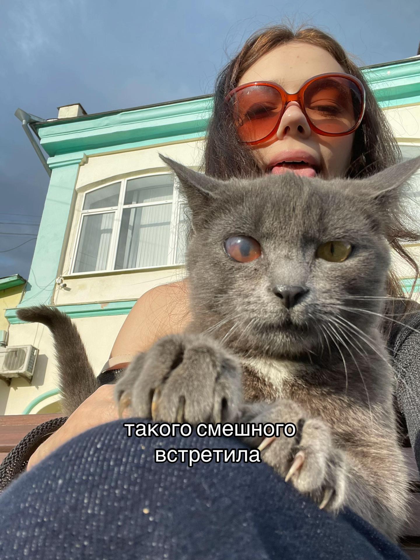 @кент твоего кента