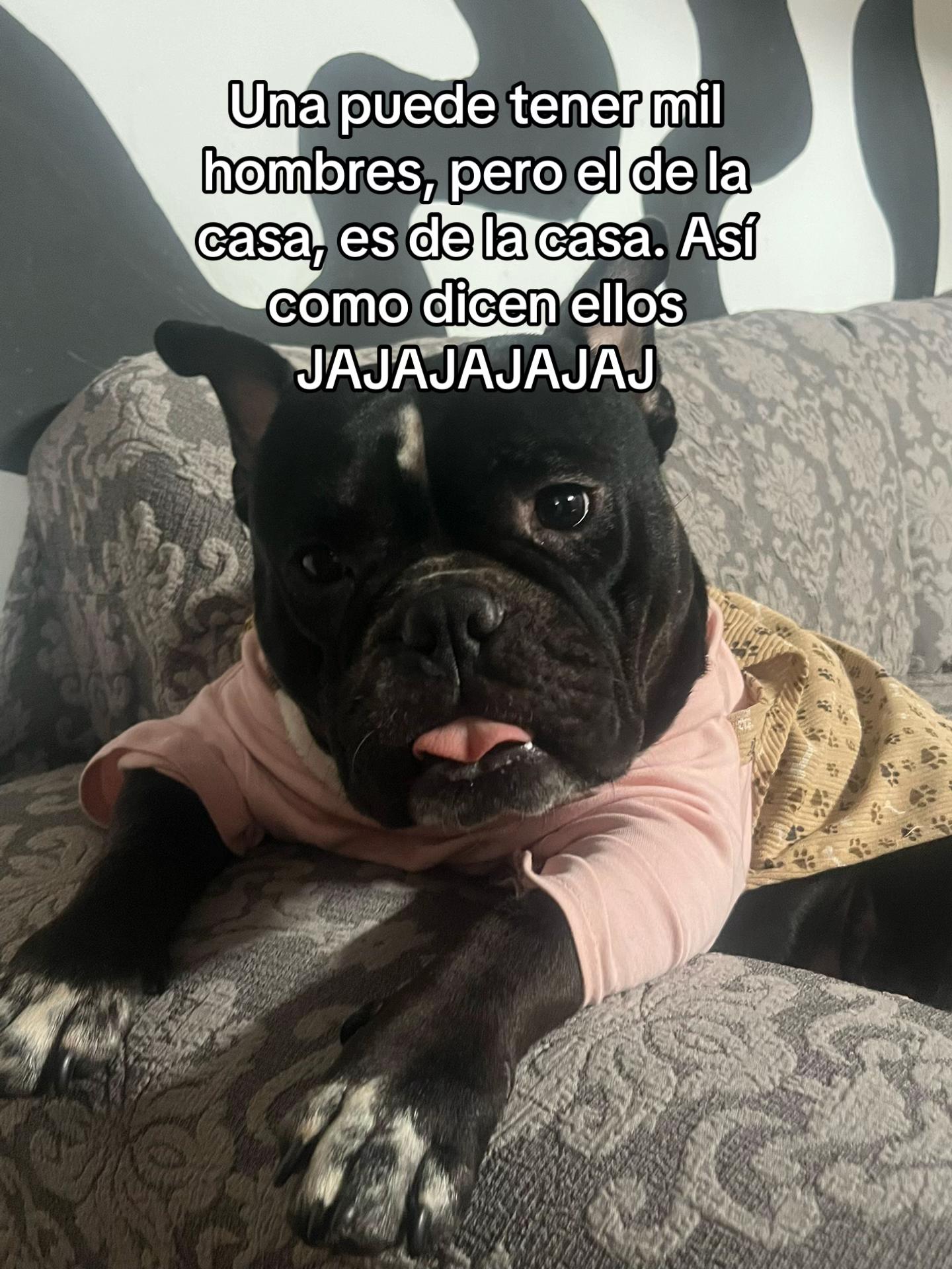 @Music🎙️