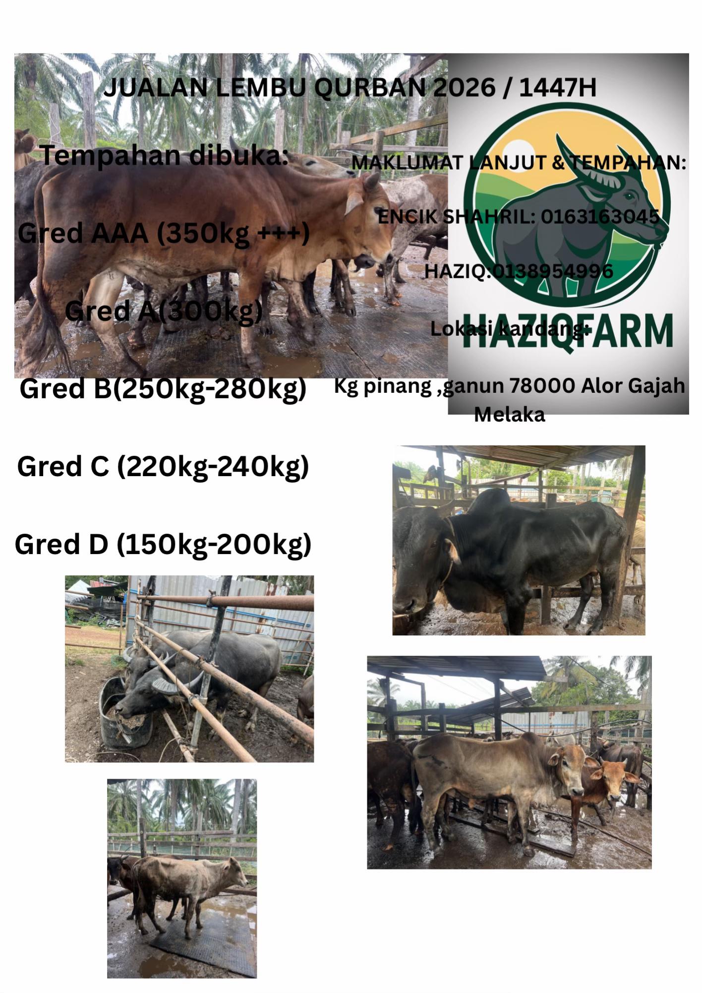 @Haziq farm