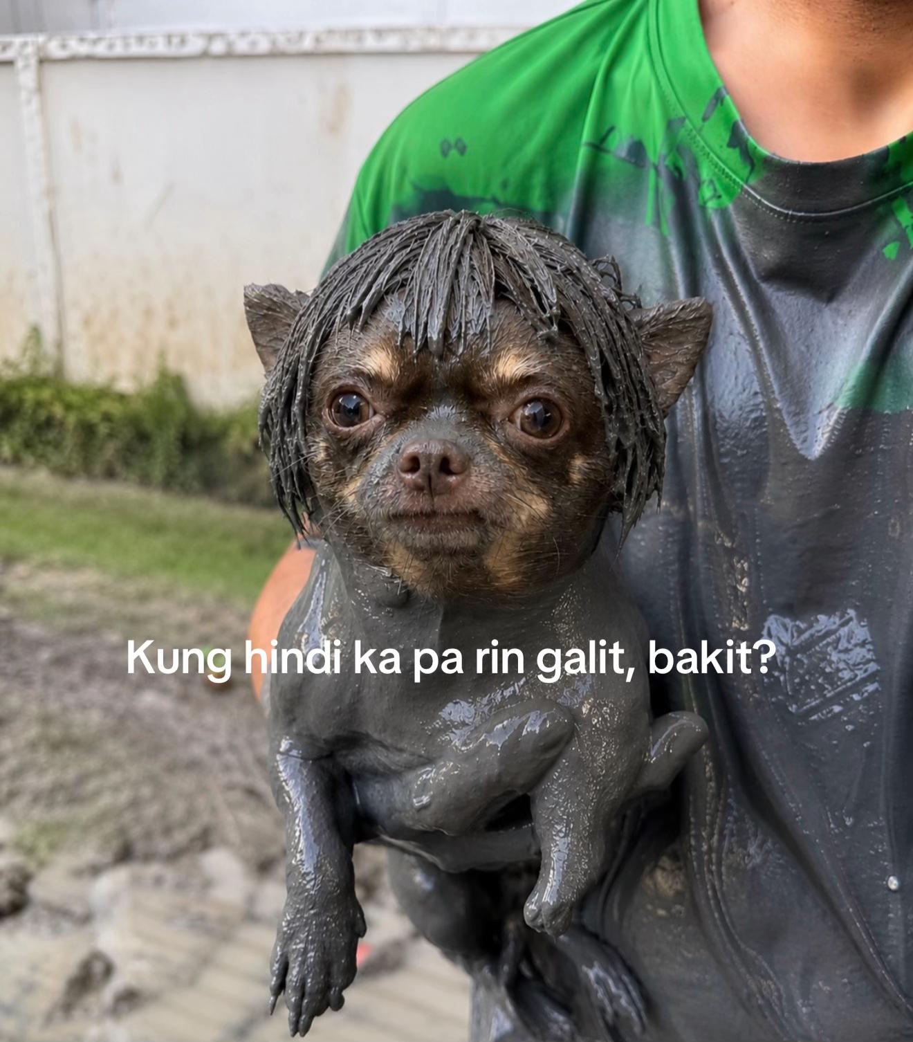 @Bambi