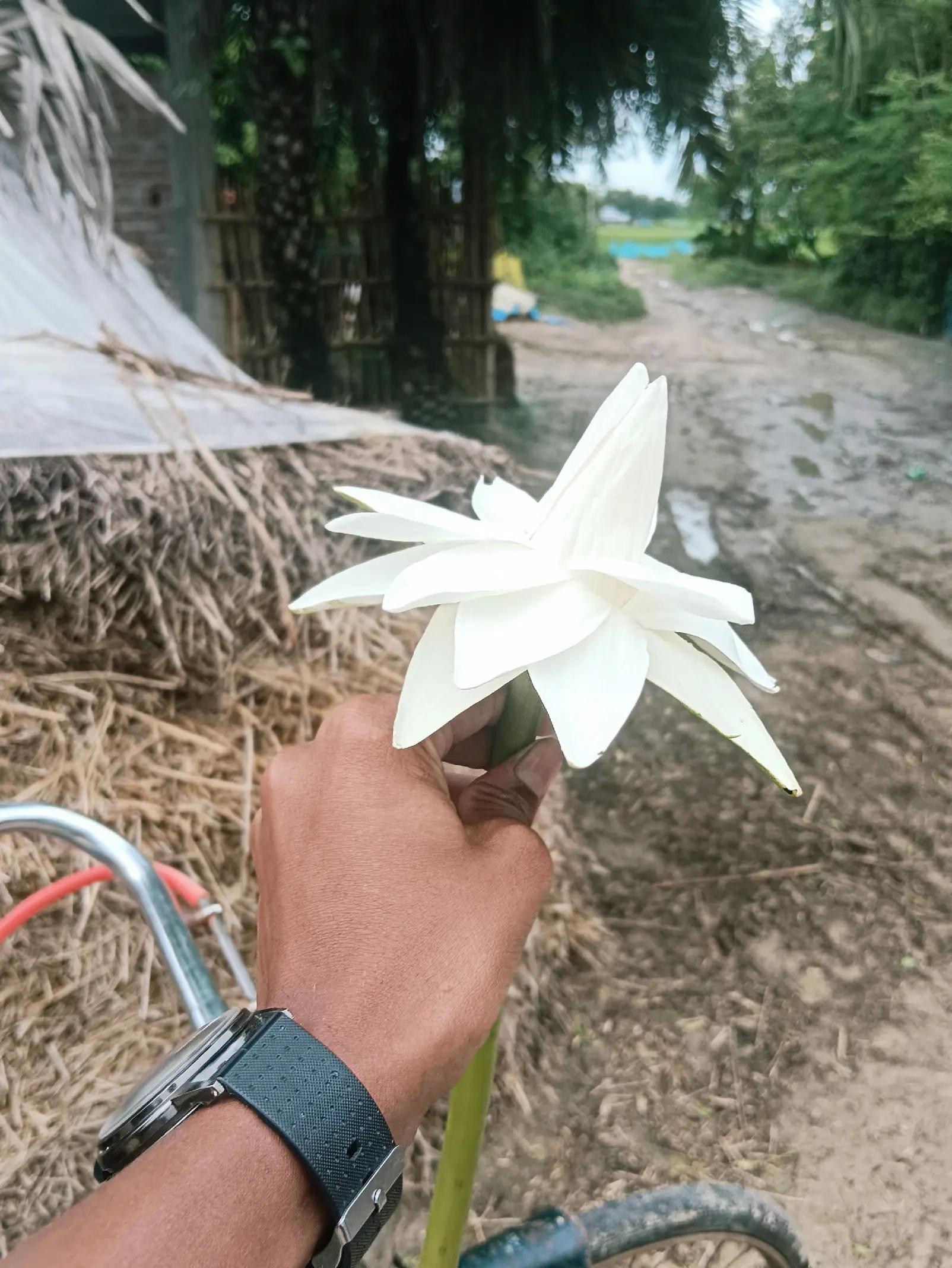 @Ramjan
