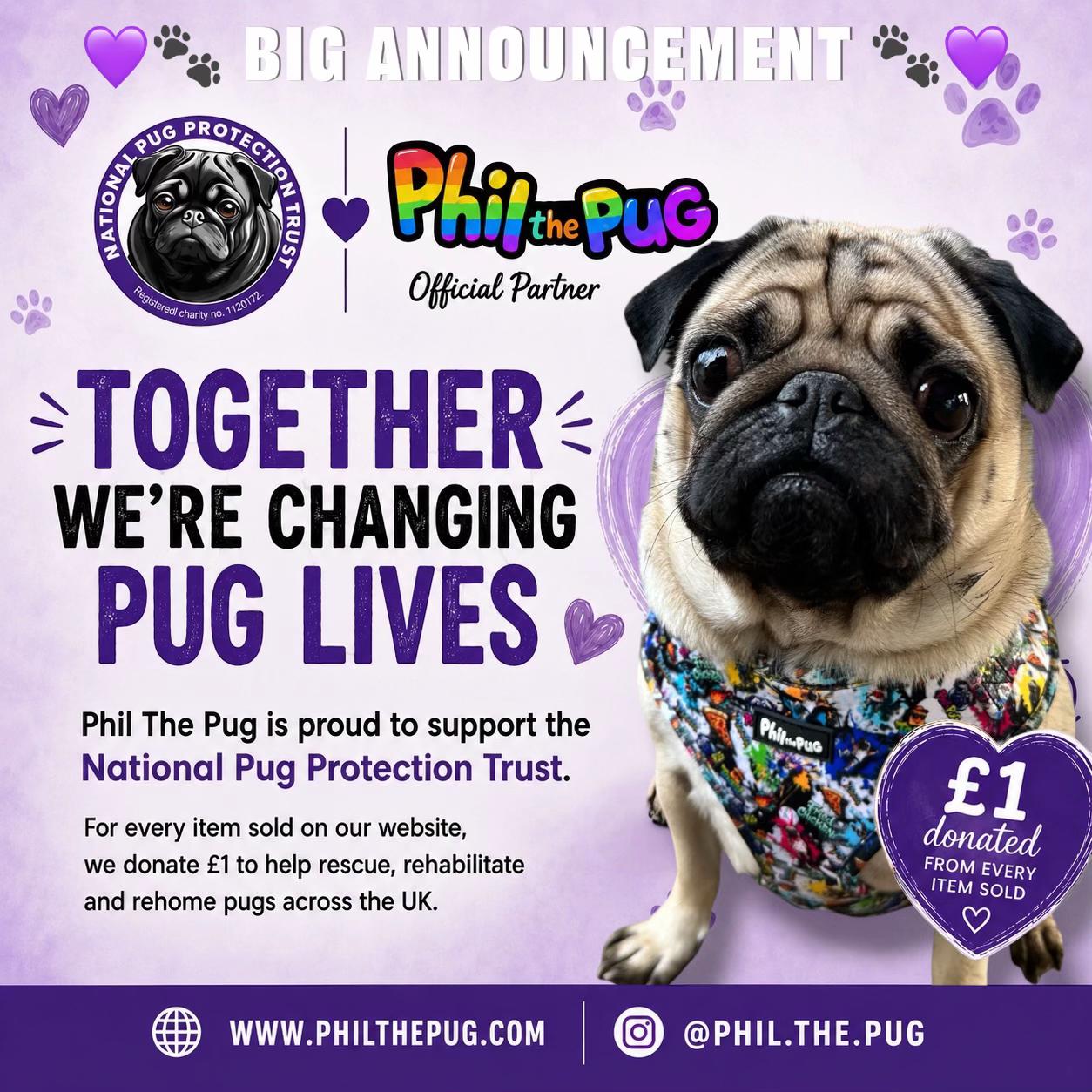 @Phil The Pug