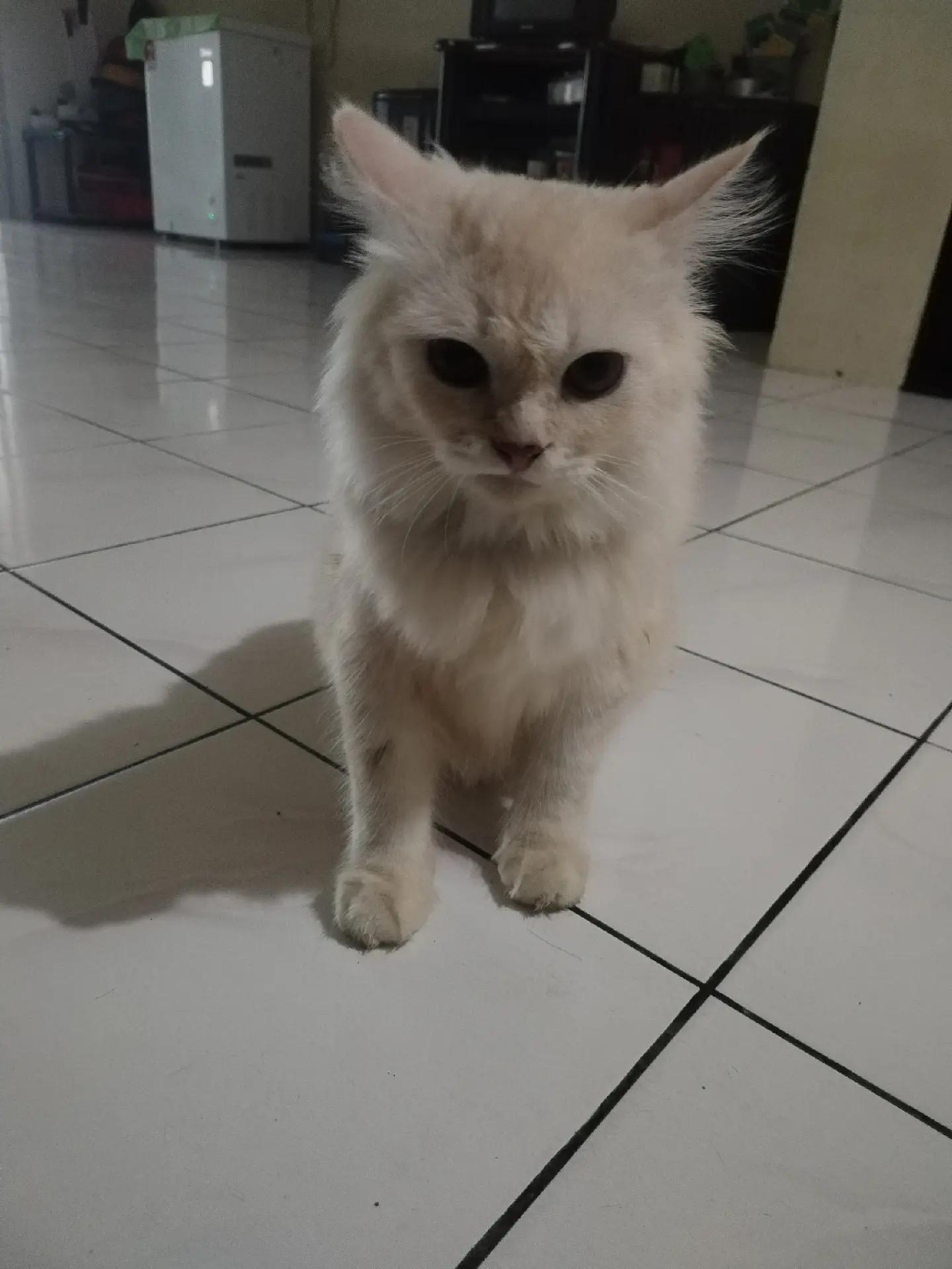 @Liyana