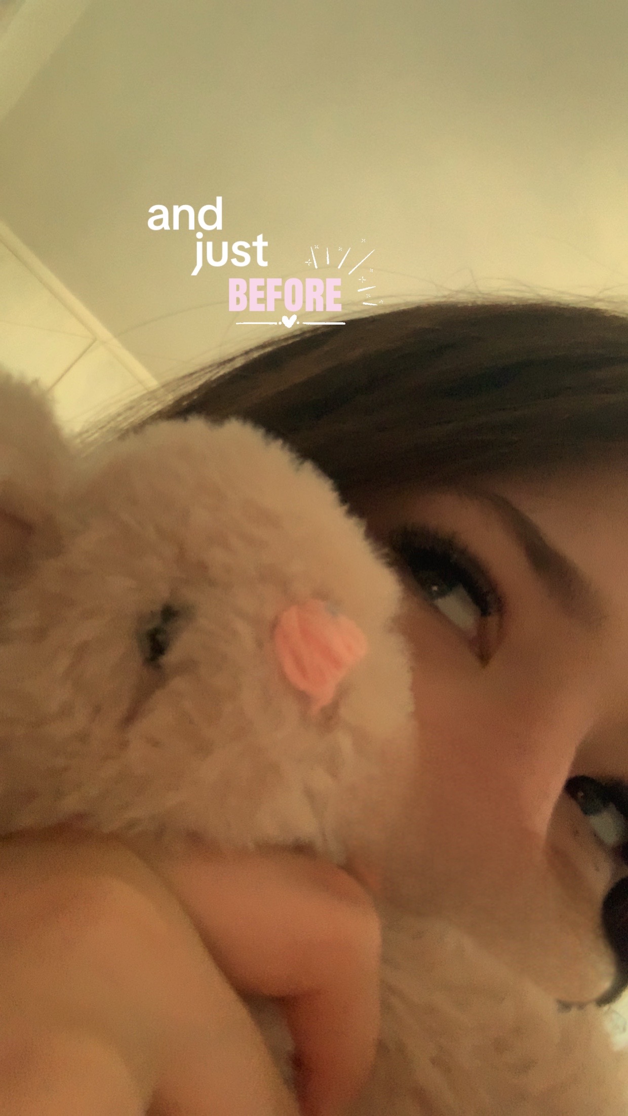 @🪄𝒶𝒾𝓈𝒾ℯ