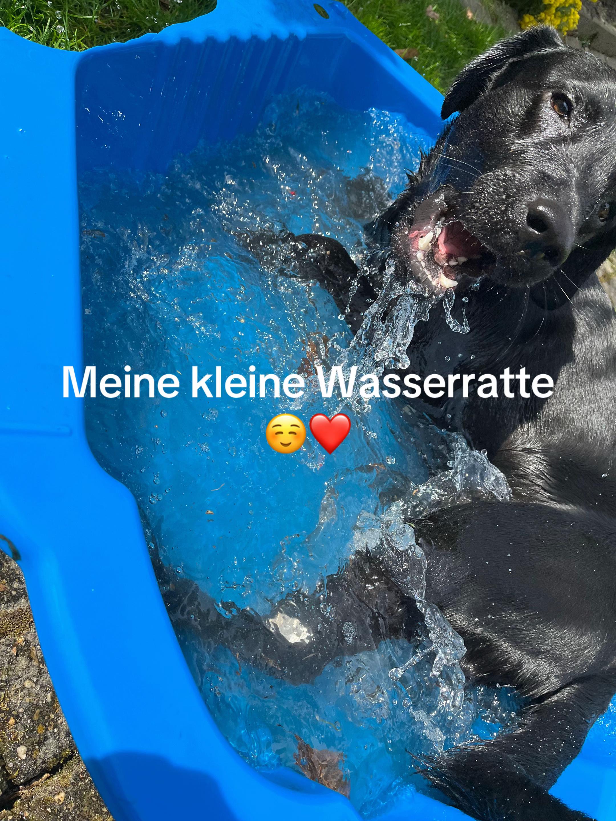 @Manuel,Aslan&Eddie🐾❤️