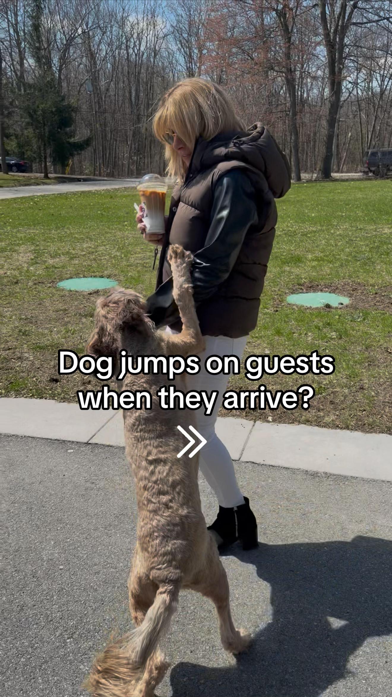 @Dogs Made Simple