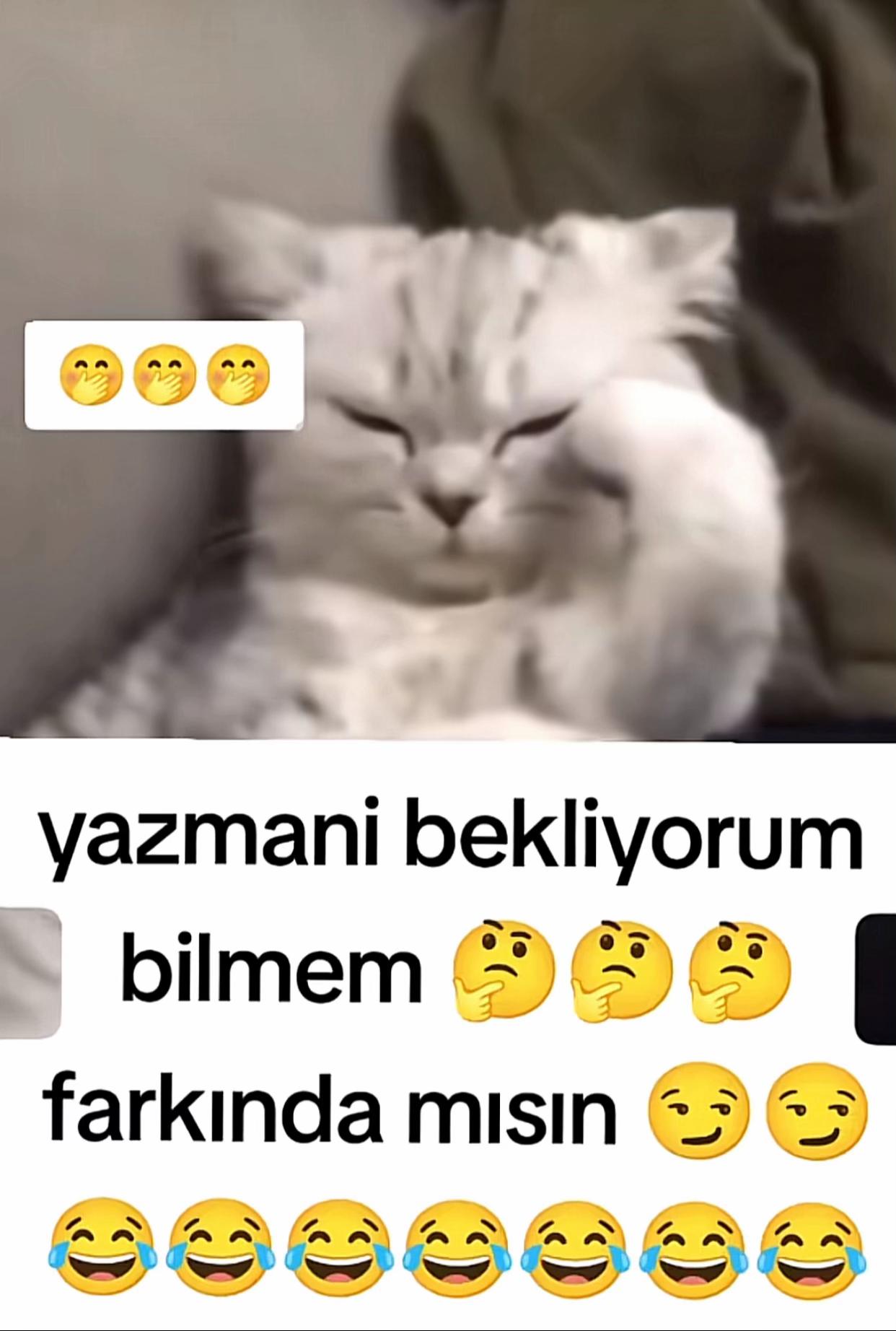 @Kuzgun