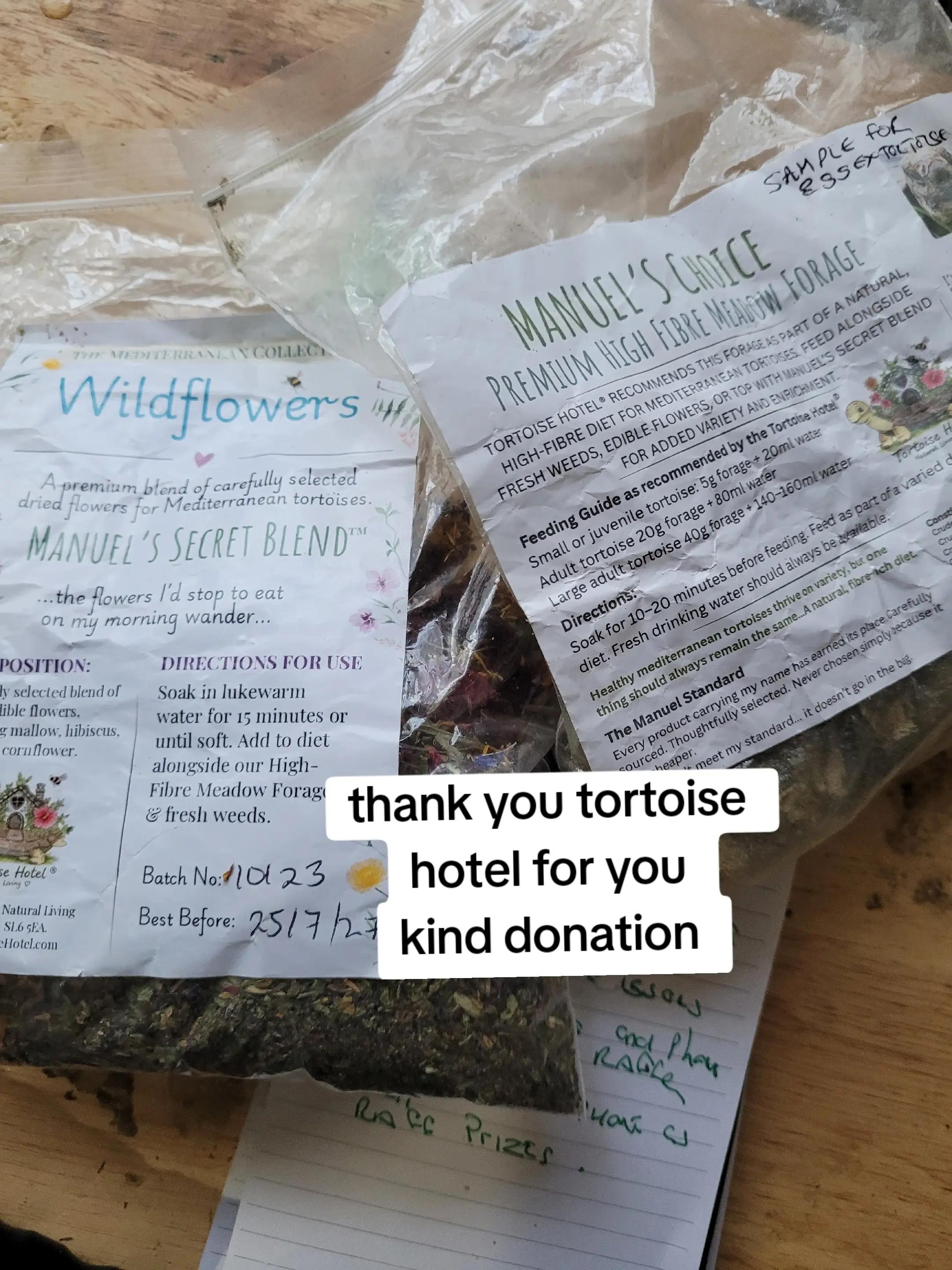 @essex tortoise group