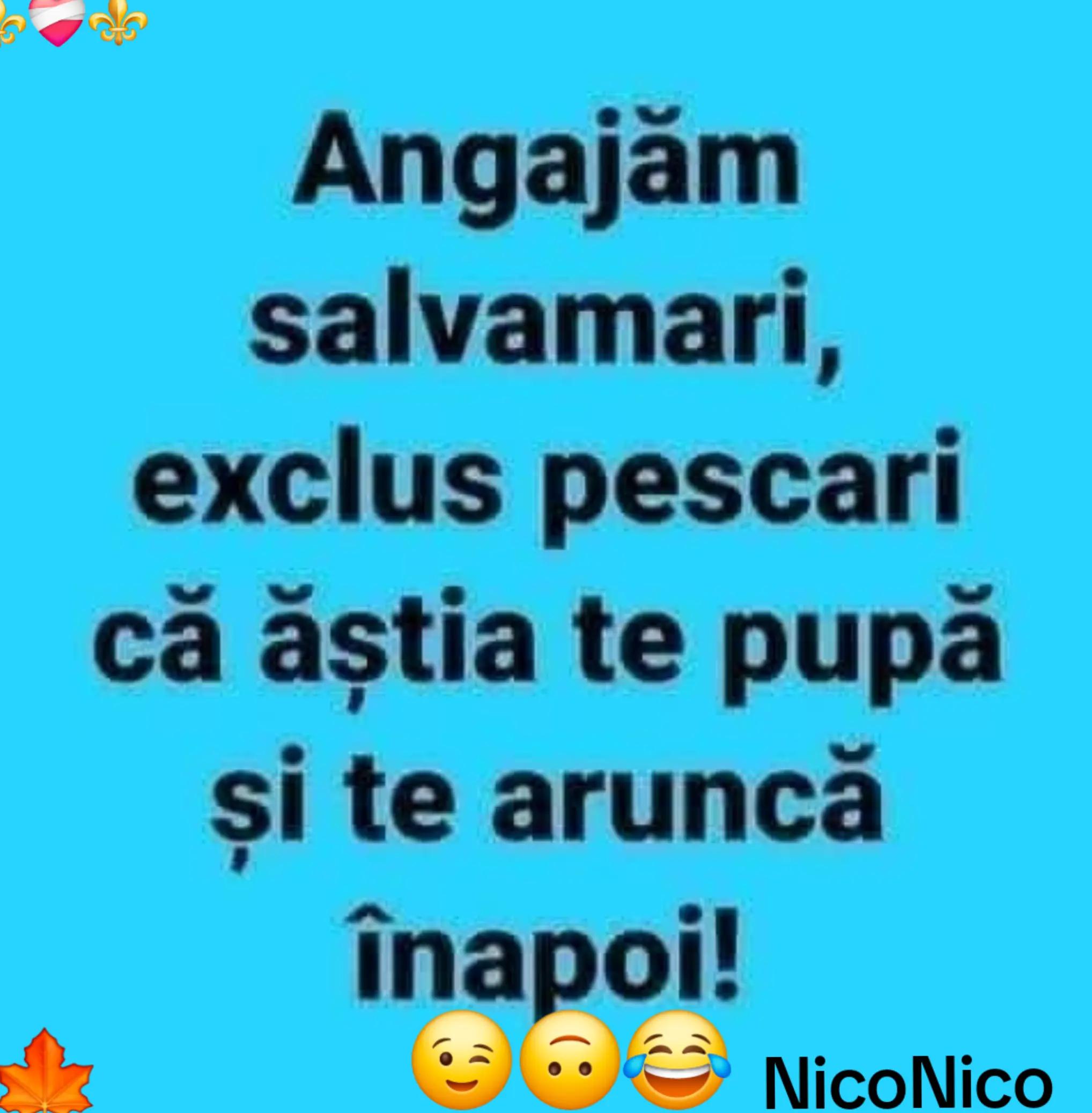 @NicoNico