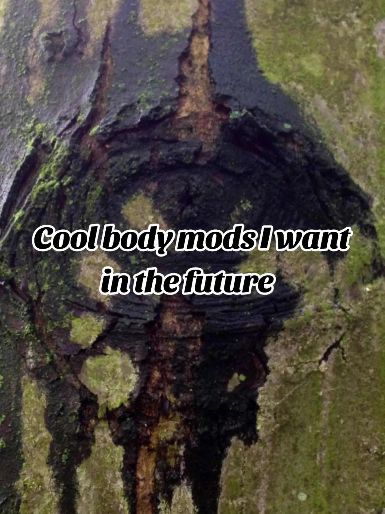 @🏛🅁𝑨𝑪𝑯𝑵𝑶🏛