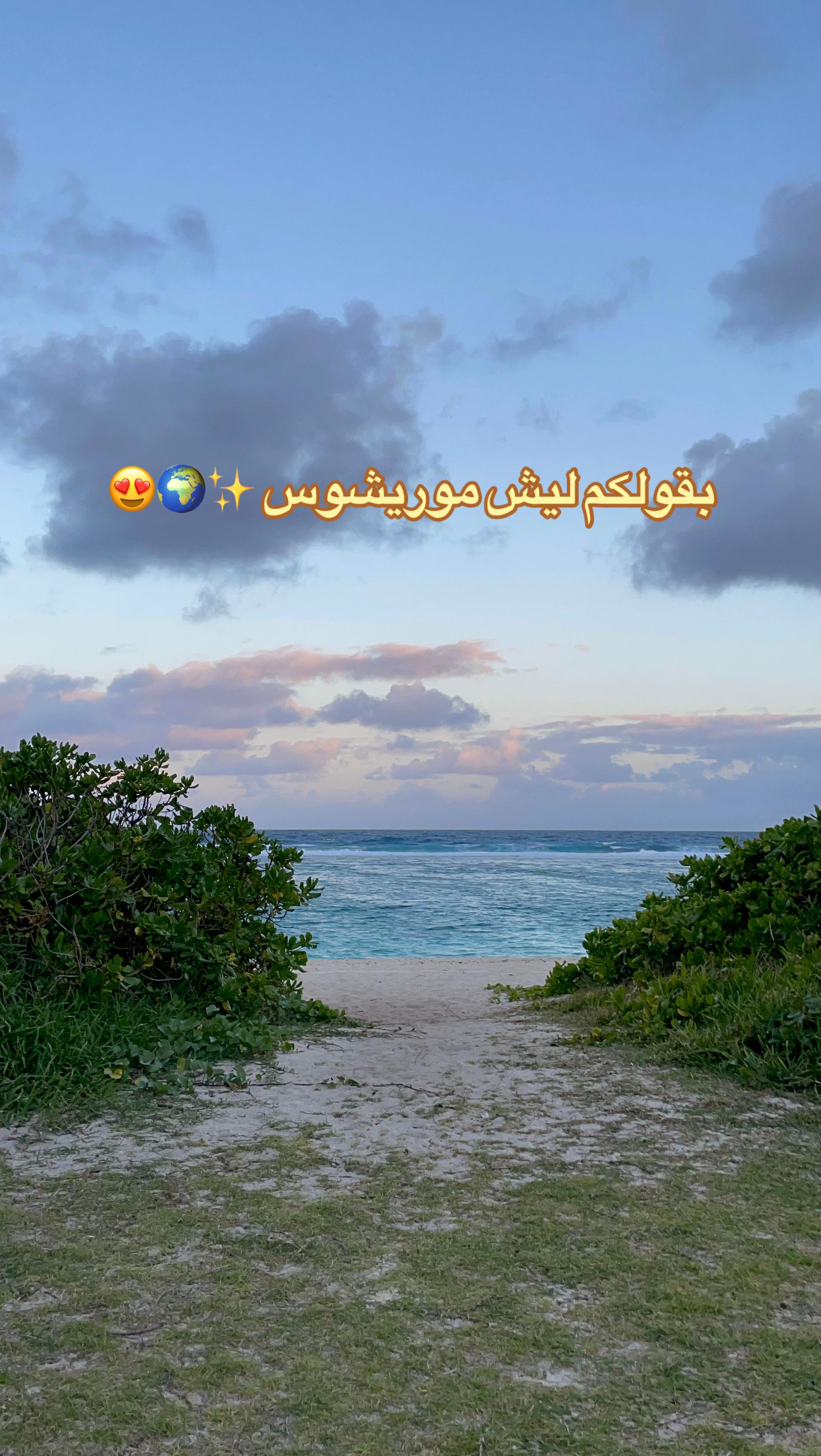 @Wejdan 🇸🇦🐪