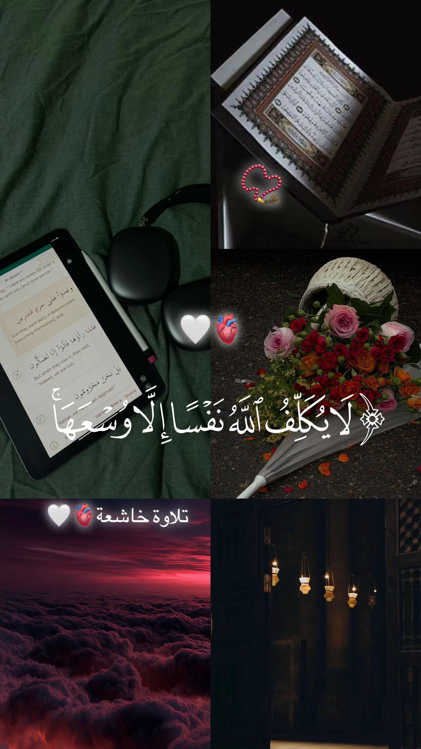 @📿اصيل المركعي📚