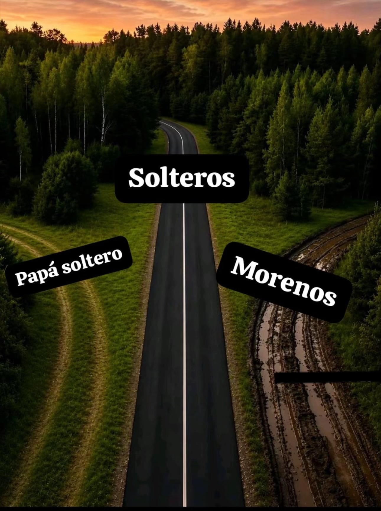 @𝓔𝓭𝓲𝓯𝓲𝓮𝓻